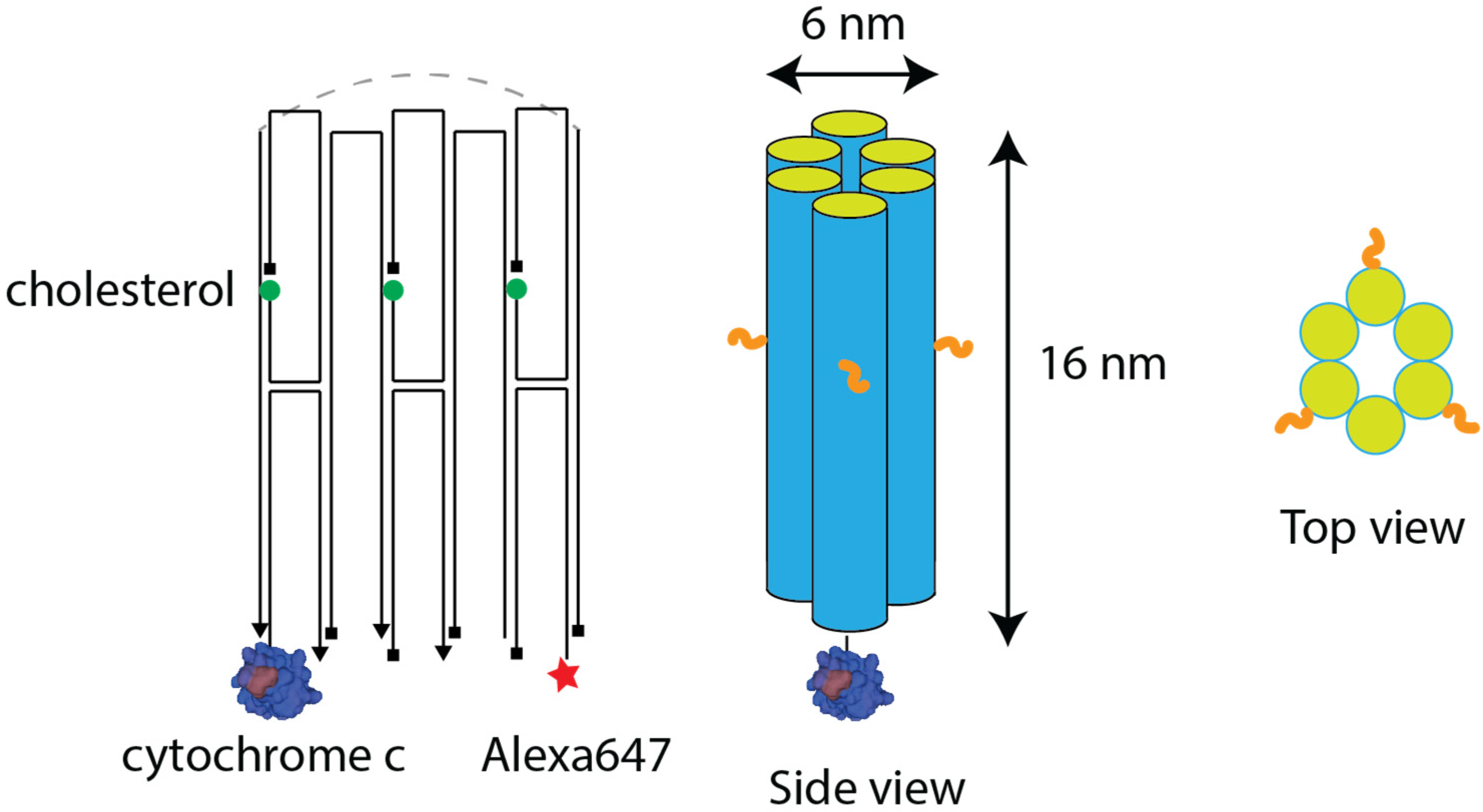 Nanomaterials 11 02003 sch001