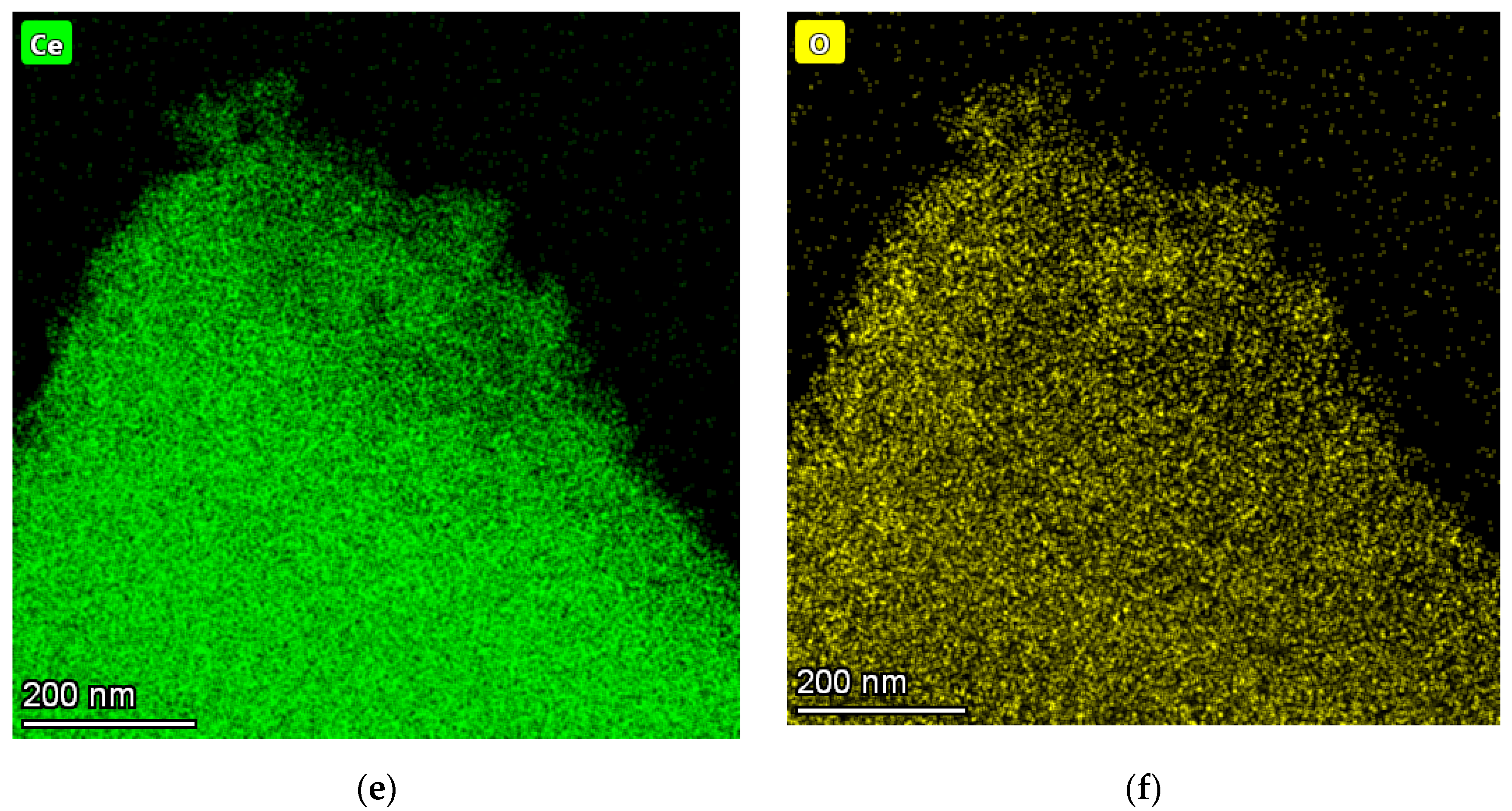 Nanomaterials 11 02004 g003b