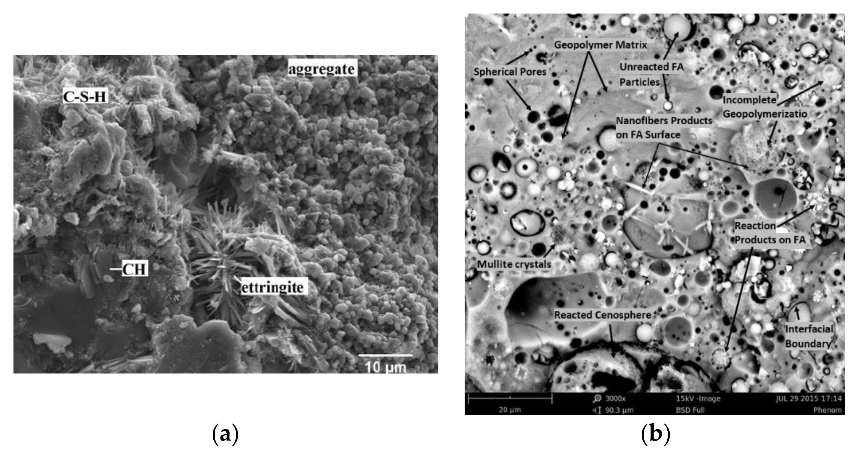 Nanomaterials 11 02007 g014