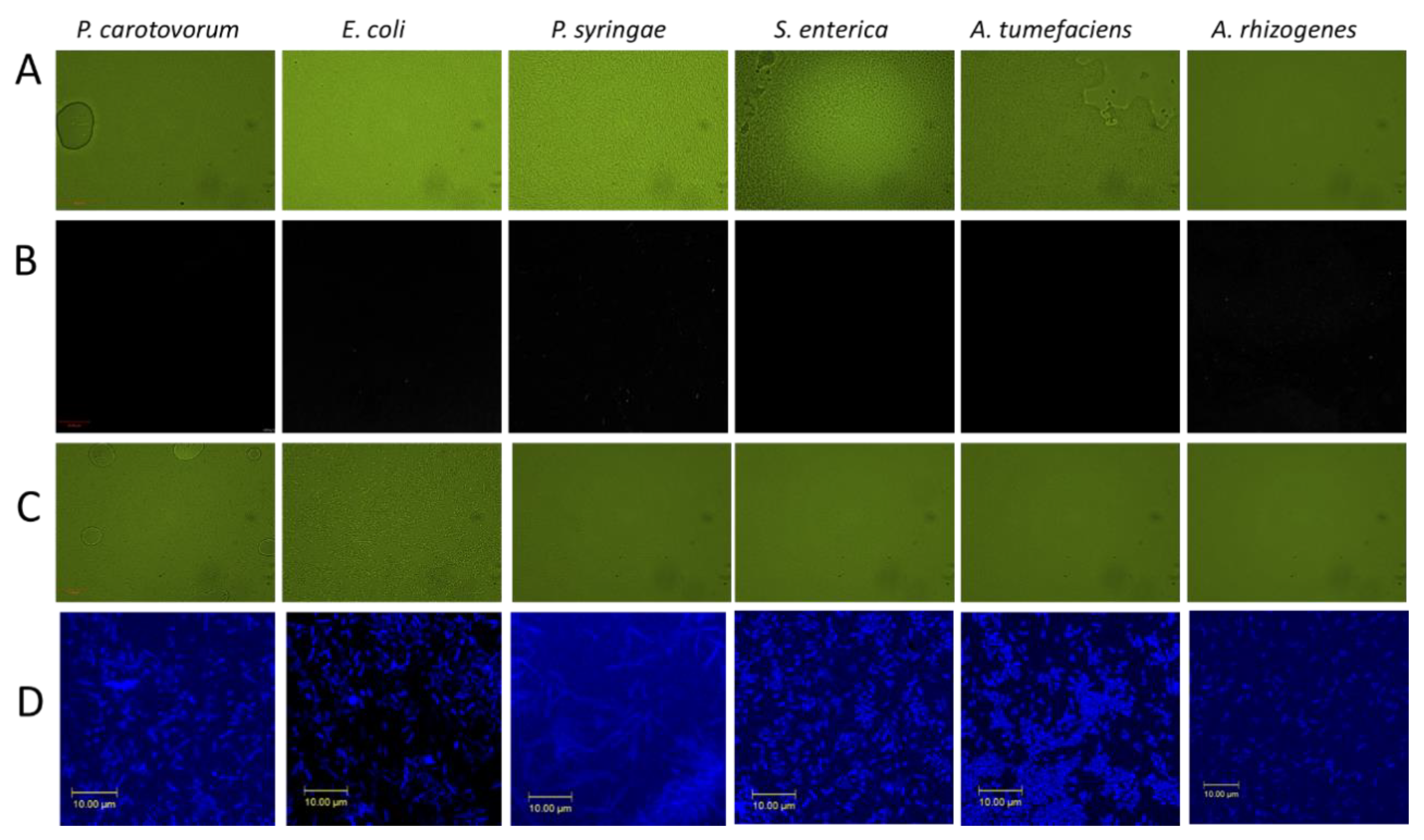 Nanomaterials 11 02012 g004