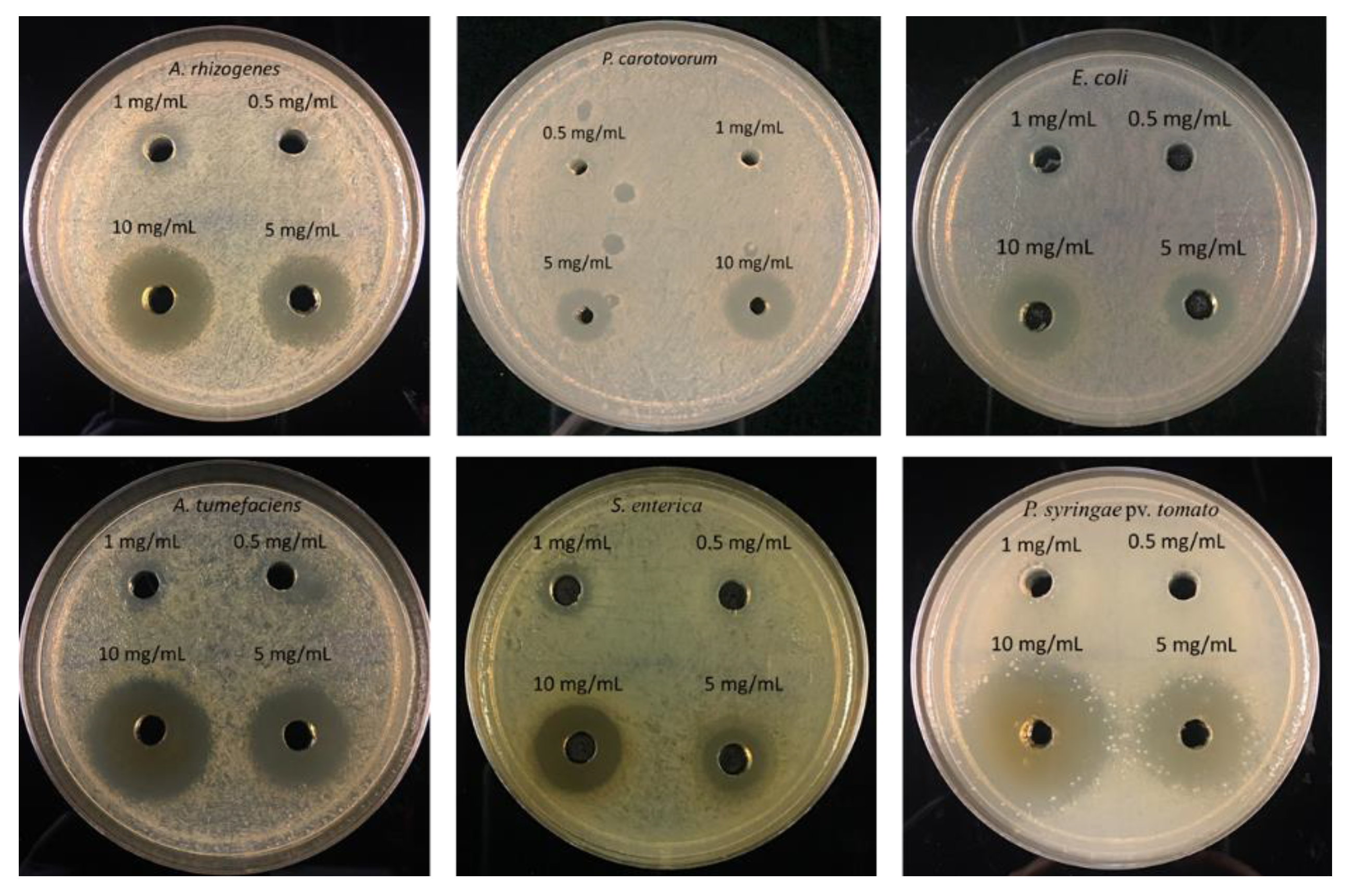 Nanomaterials 11 02012 g007