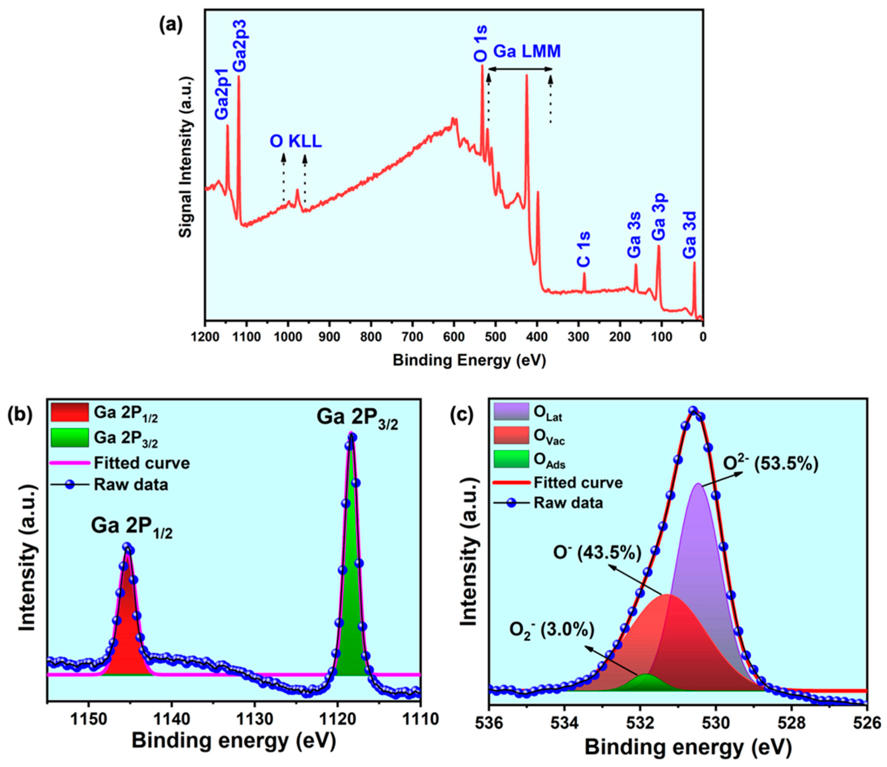 Nanomaterials 11 02013 g004