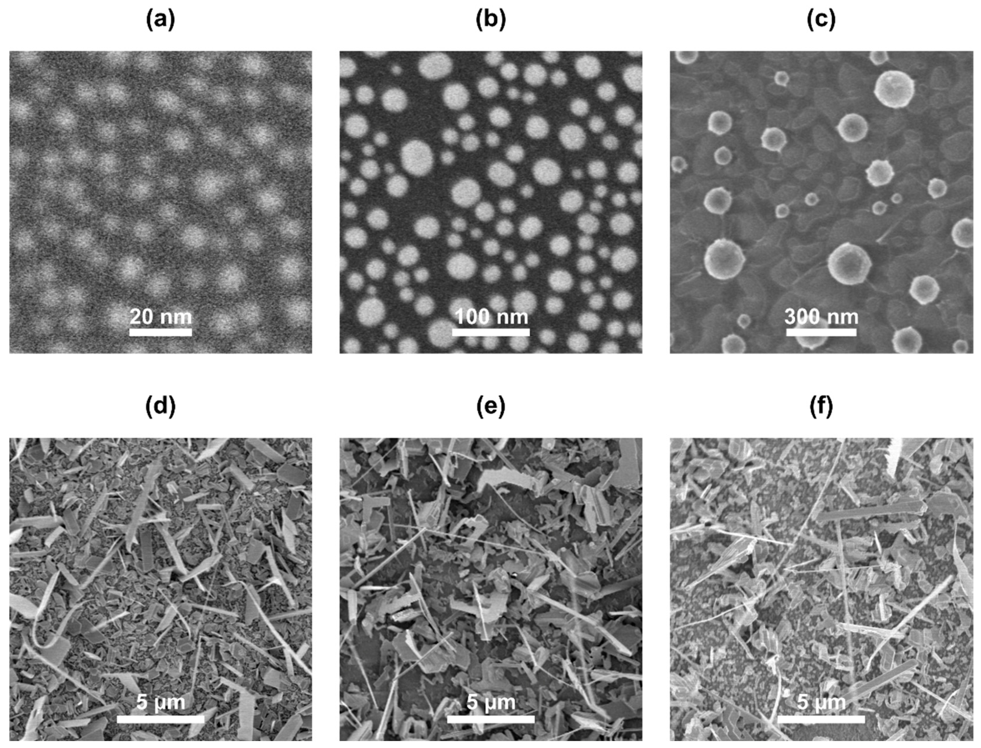 Nanomaterials 11 02020 g001