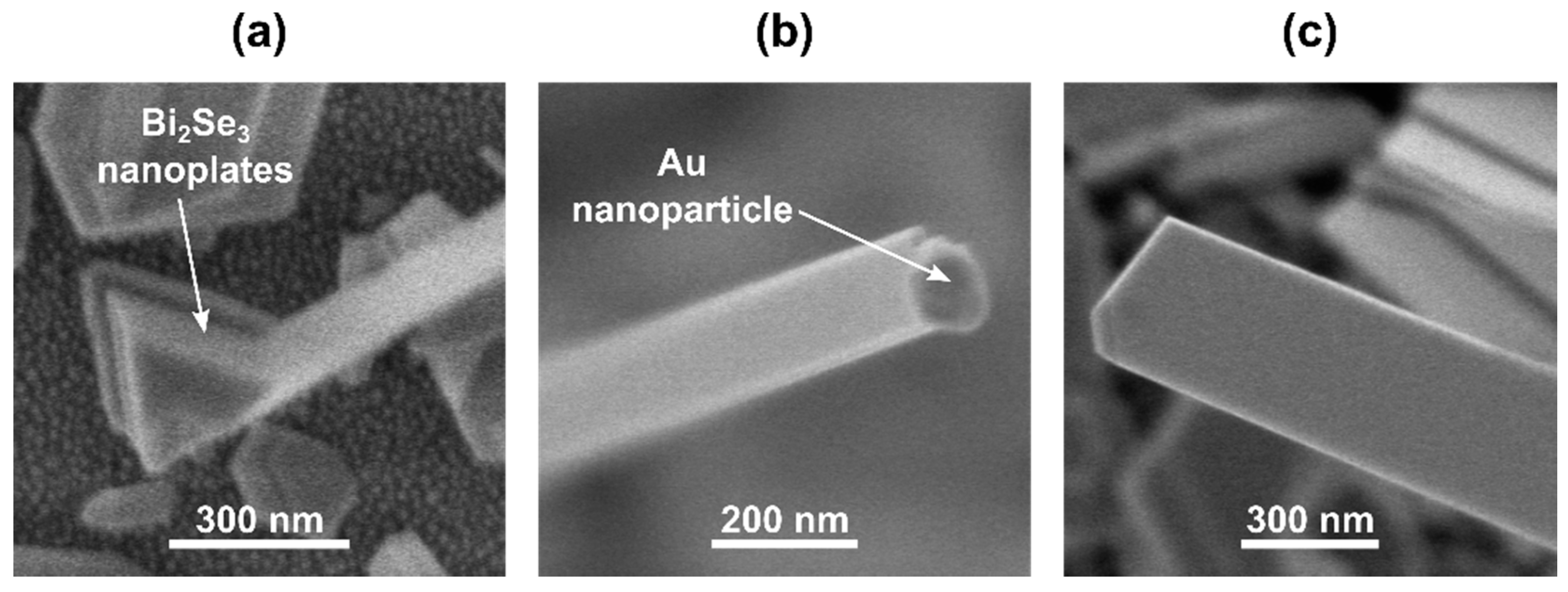 Nanomaterials 11 02020 g004