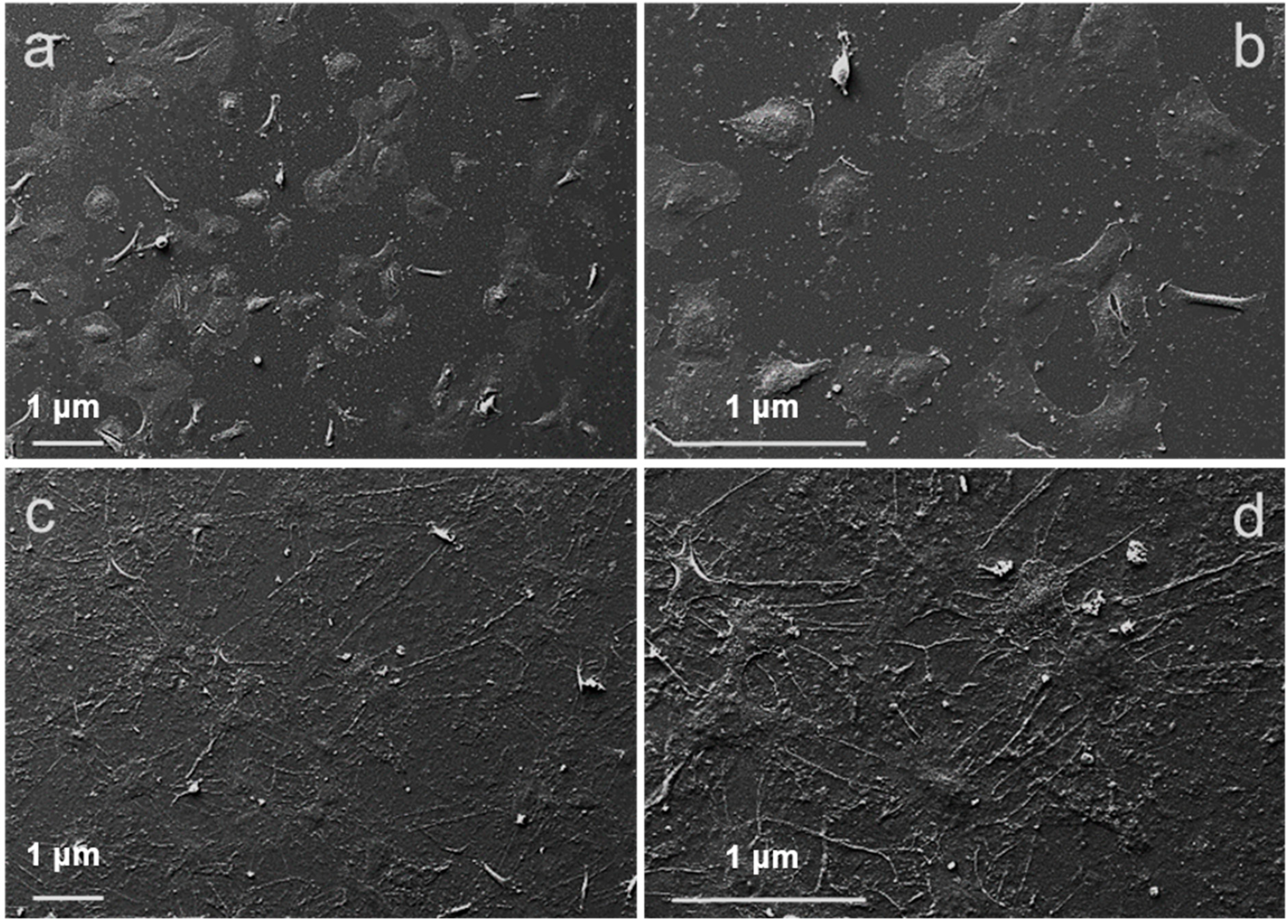 Nanomaterials 11 02022 g002