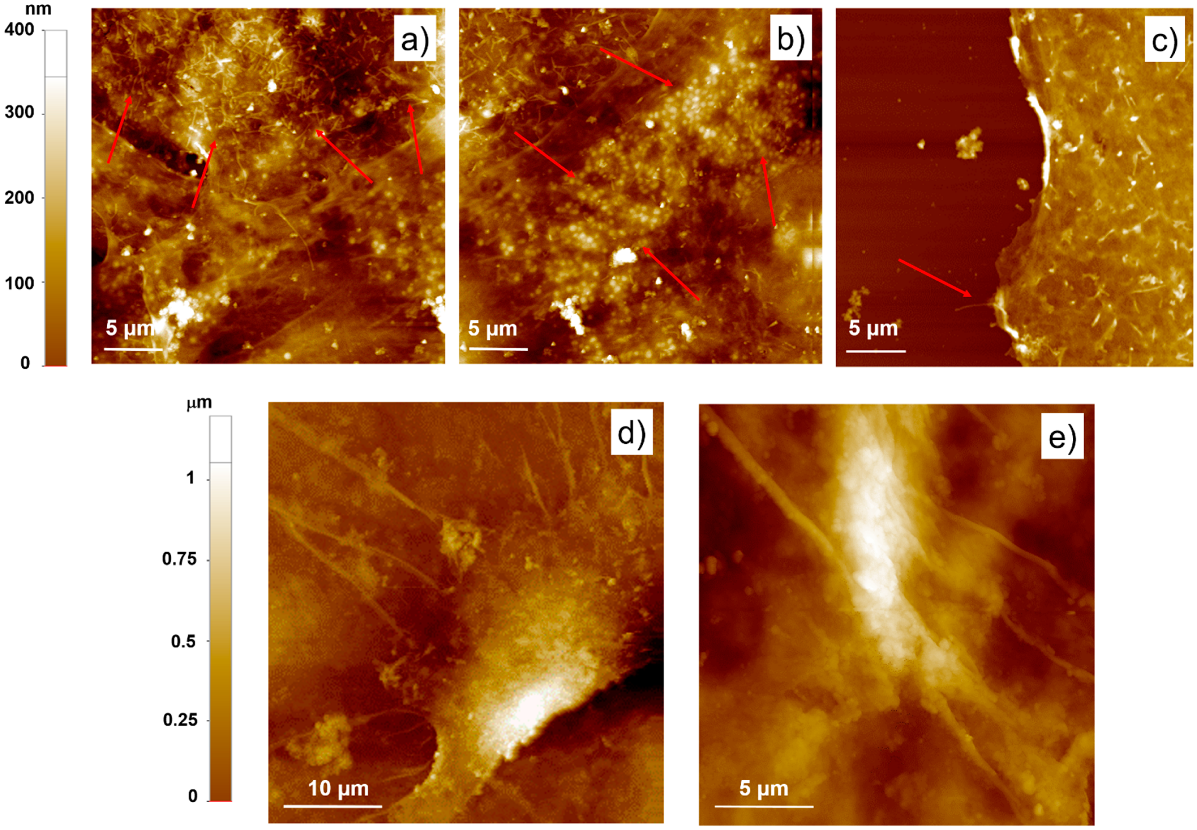 Nanomaterials 11 02022 g003