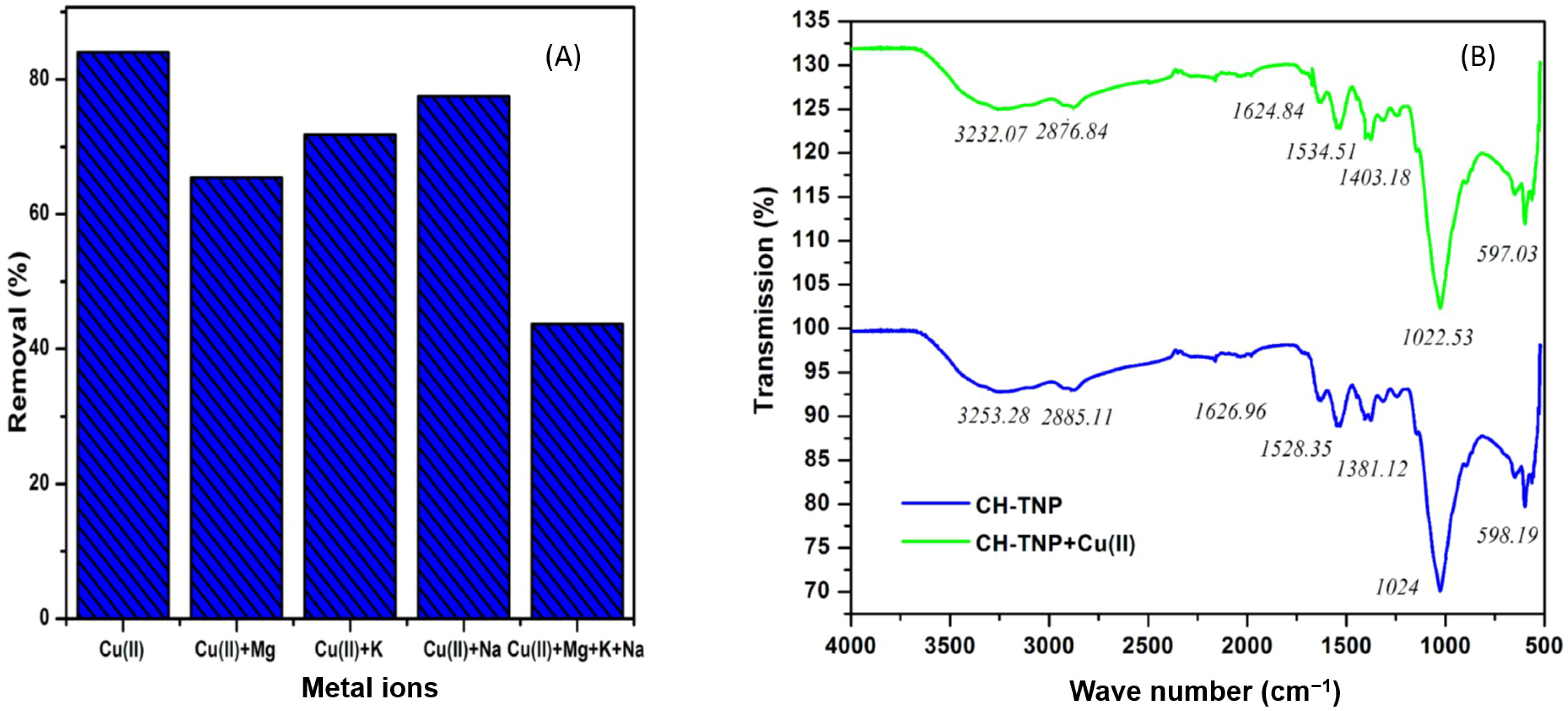 Nanomaterials 11 02028 g006 Nanomaterials 11 02028 g006