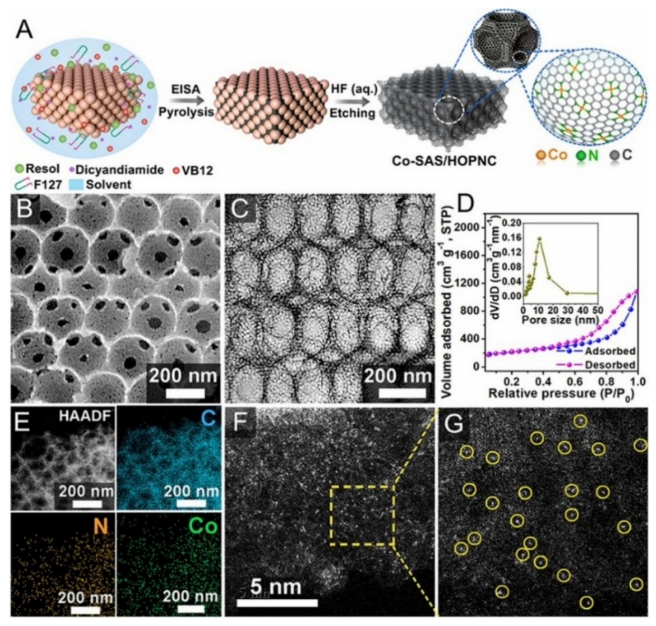 Nanomaterials 11 02029 g002