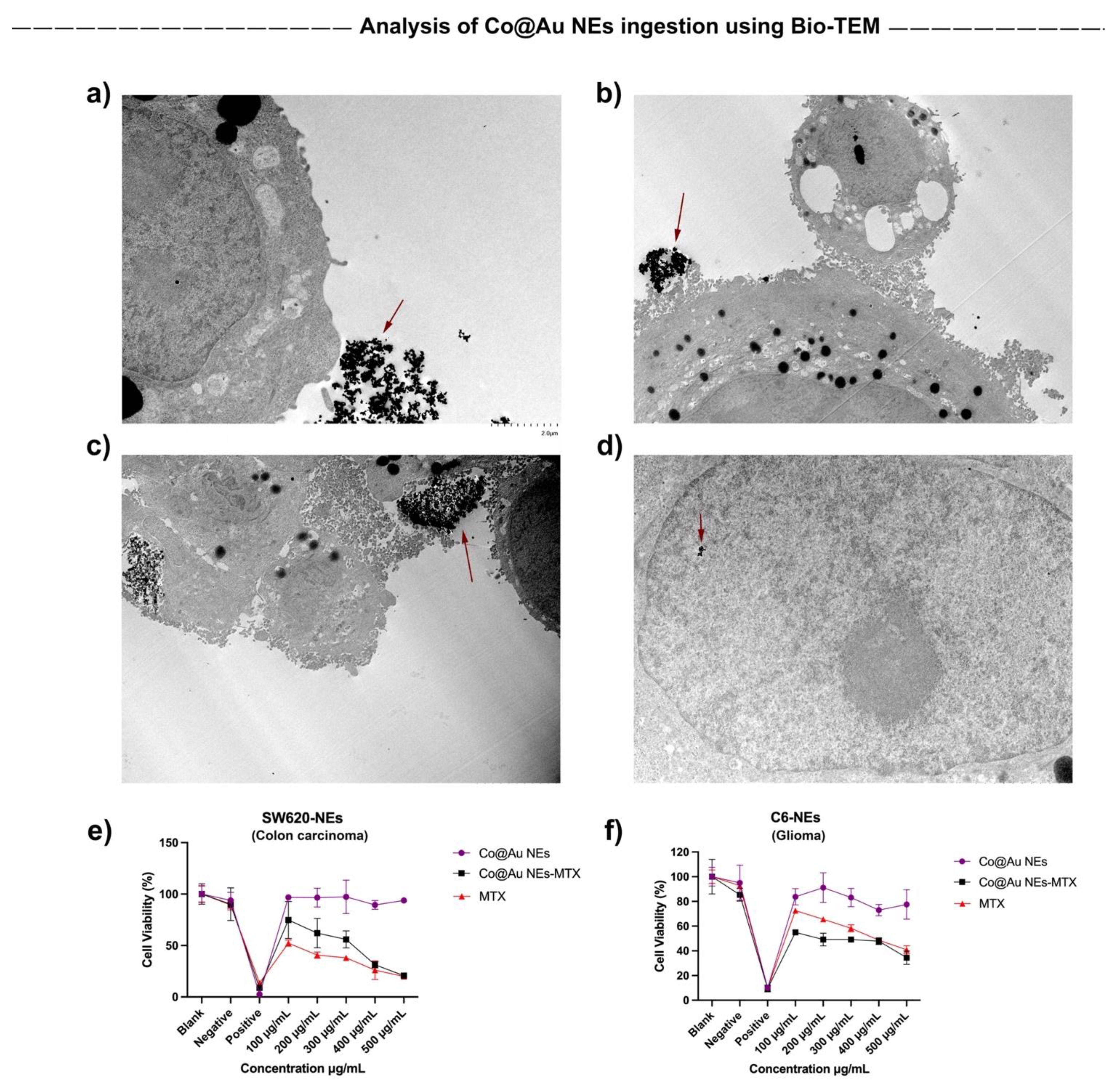 Nanomaterials 11 02048 g007