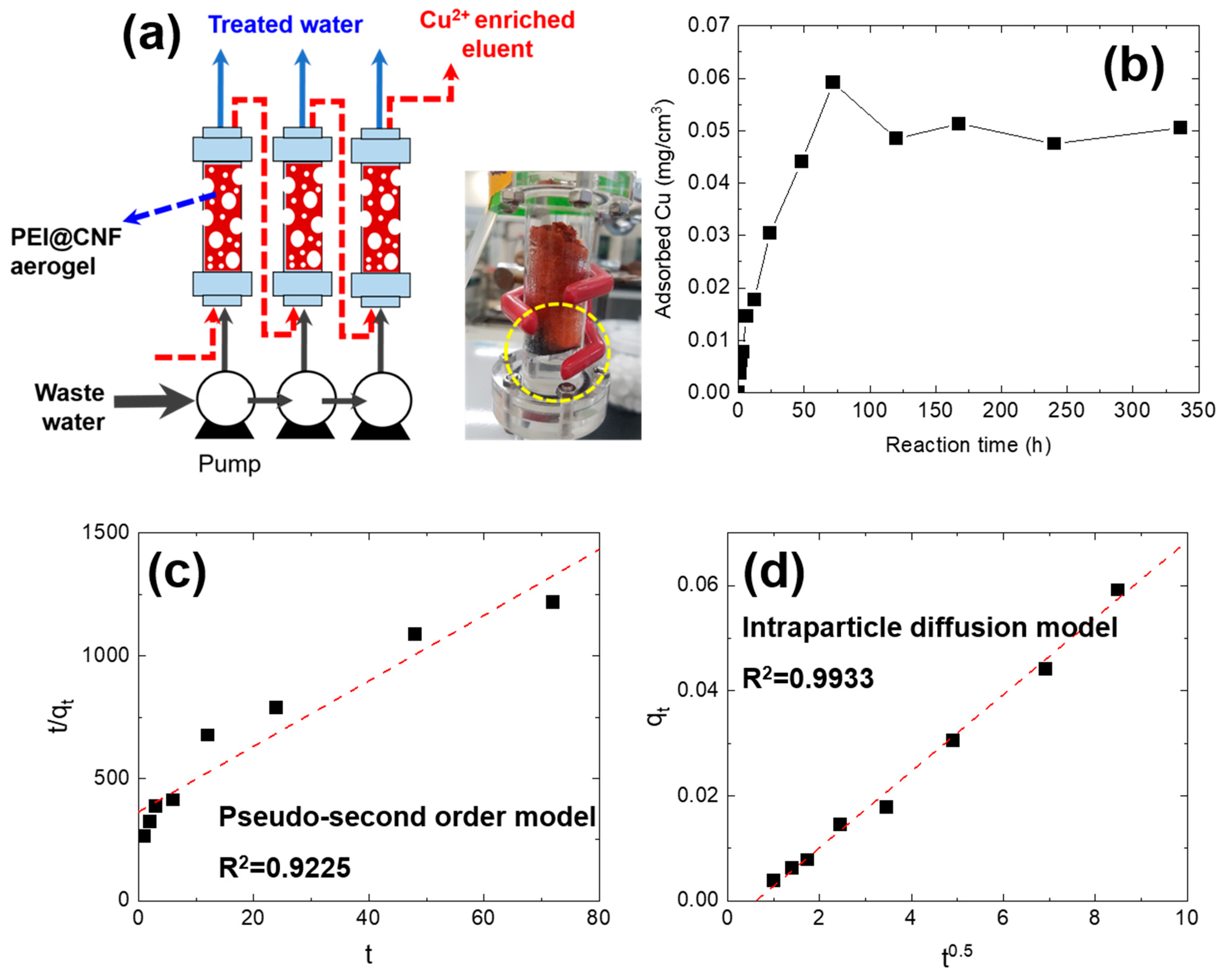 Nanomaterials 11 02051 g001