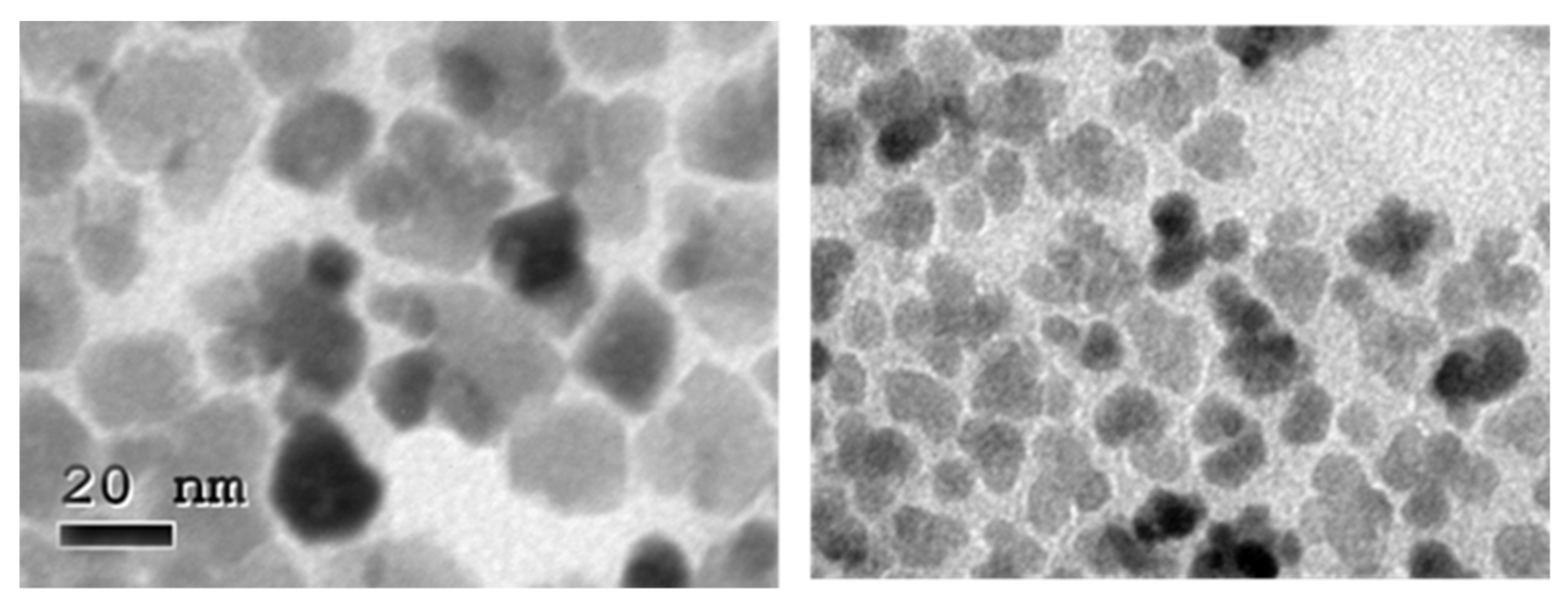 Nanomaterials 11 02059 g003