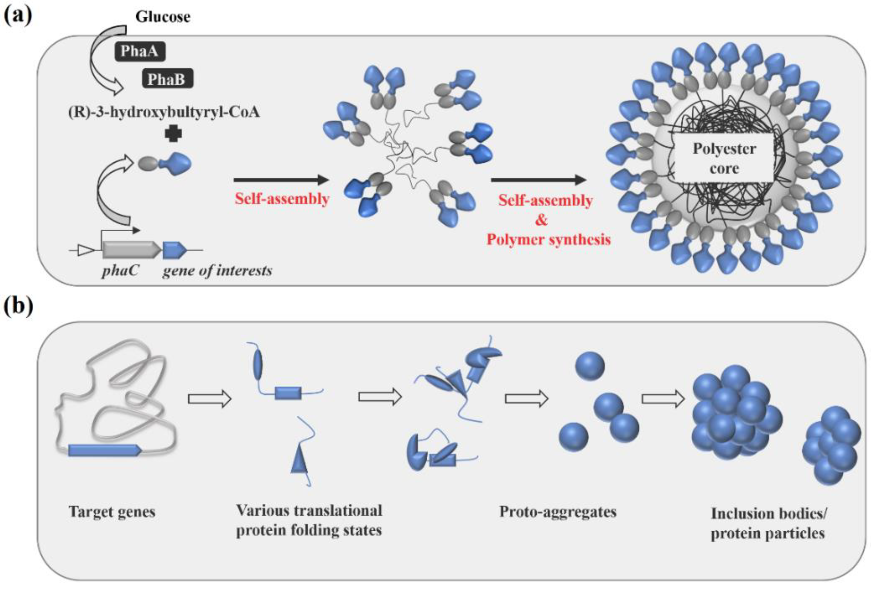 Nanomaterials 11 02060 g001