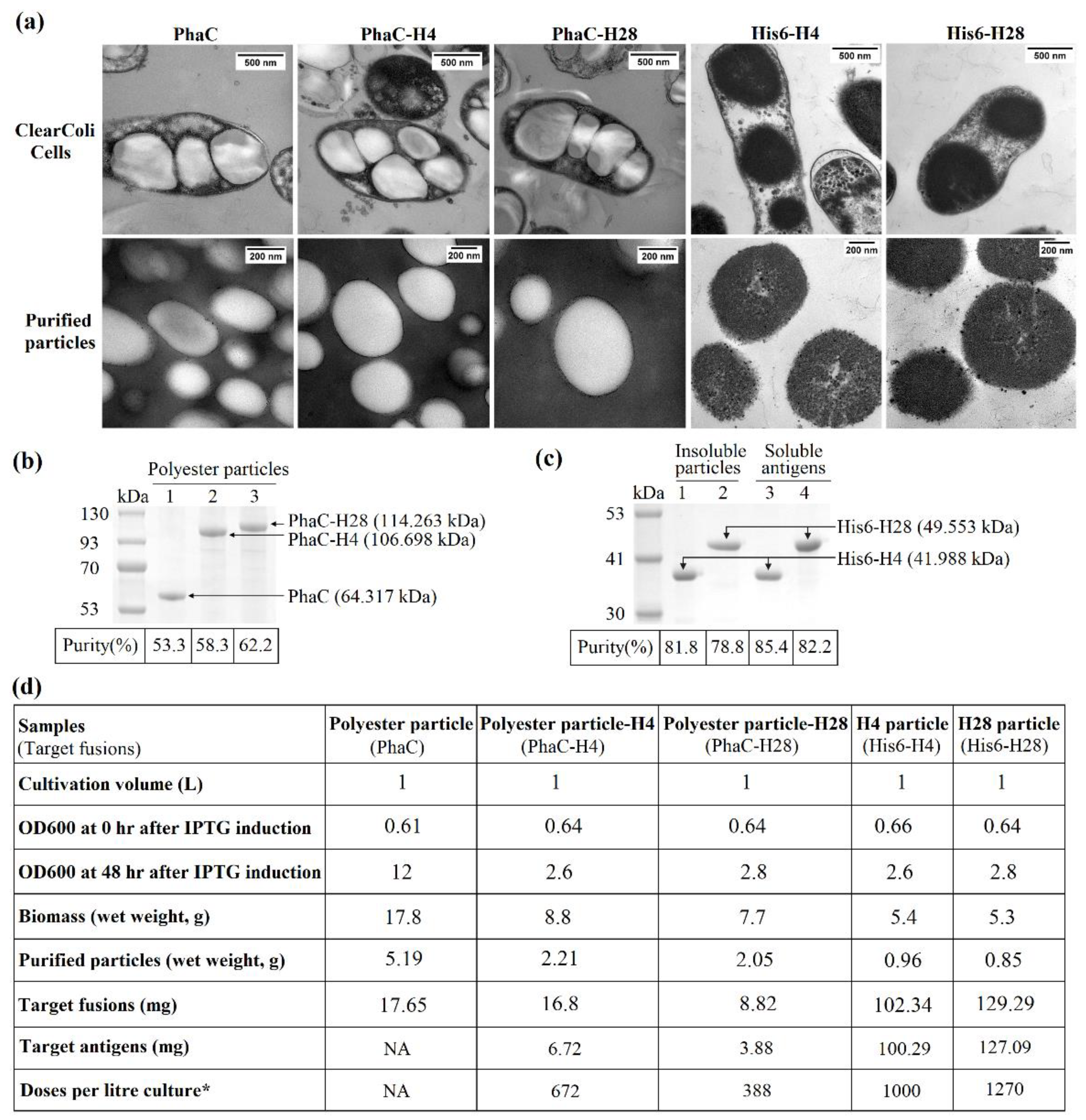 Nanomaterials 11 02060 g002