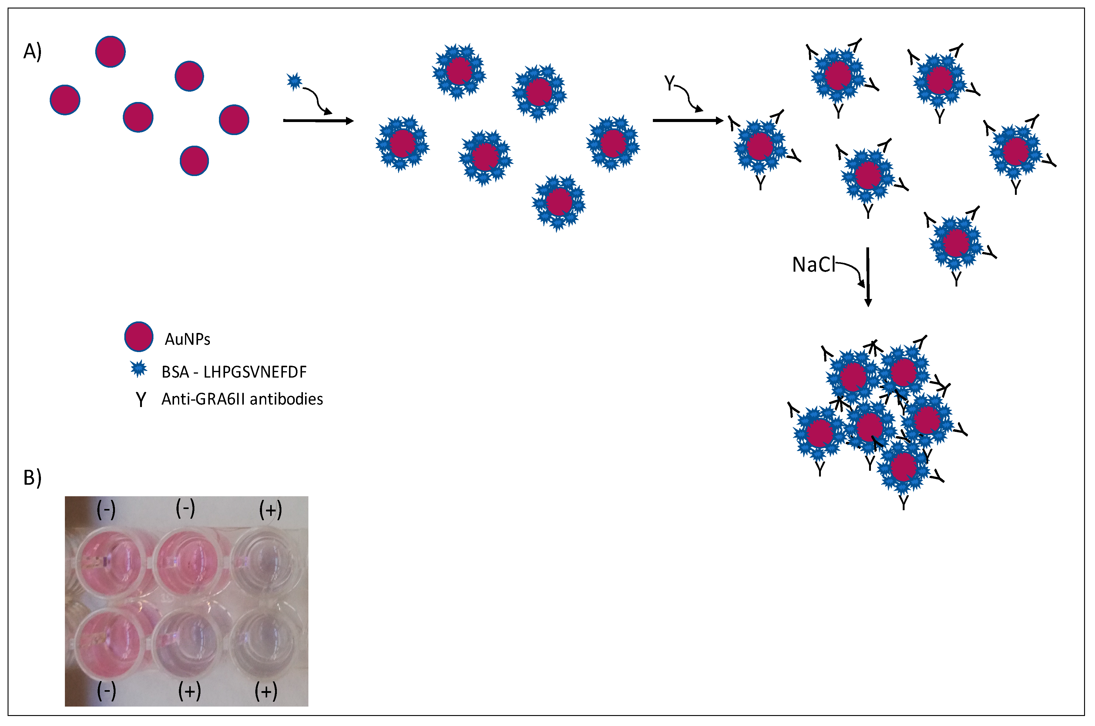 Nanomaterials 11 02065 g001