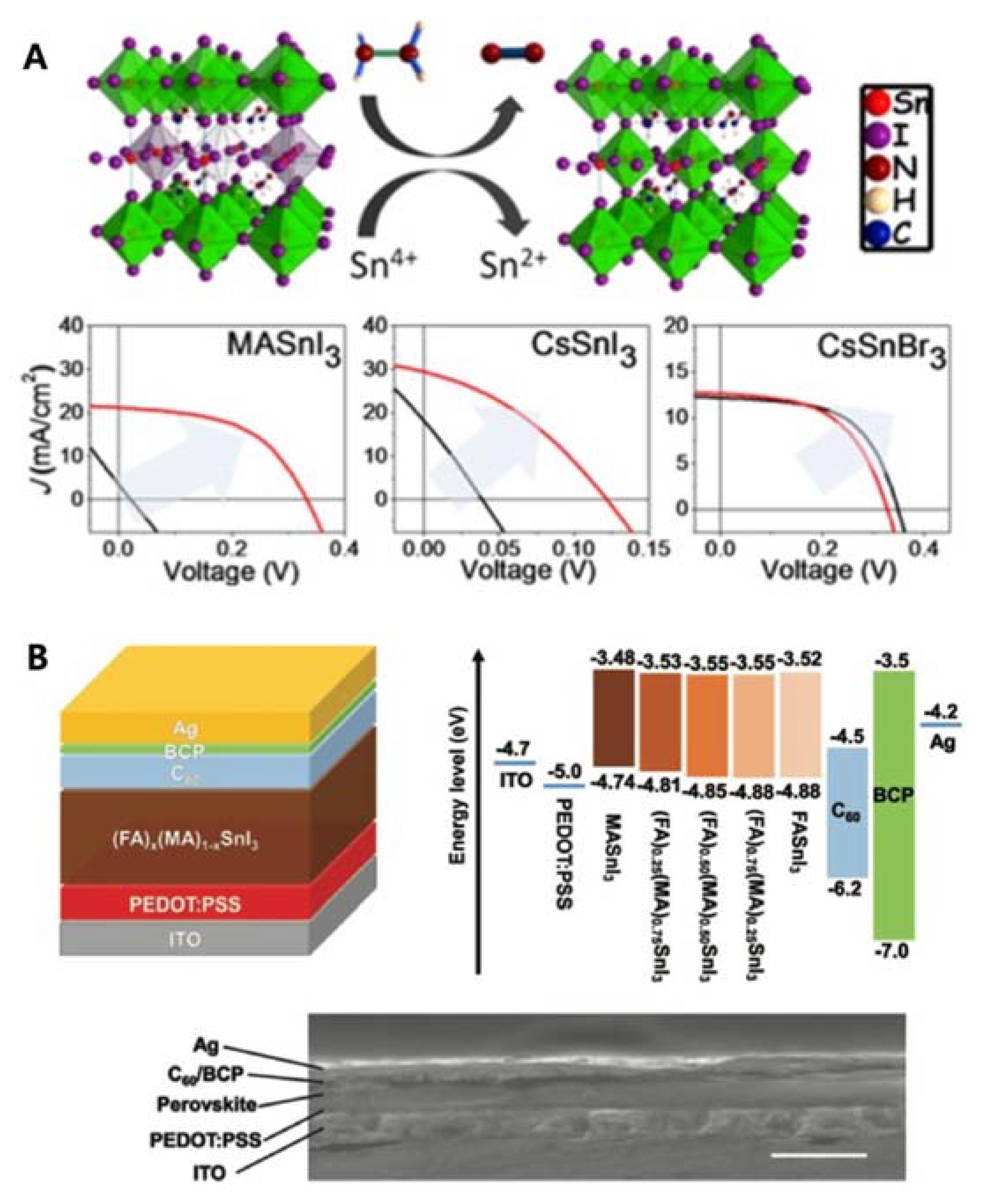 Nanomaterials 11 02066 g002