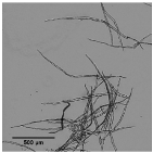 Nanomaterials 11 02077 i001