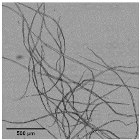 Nanomaterials 11 02077 i004