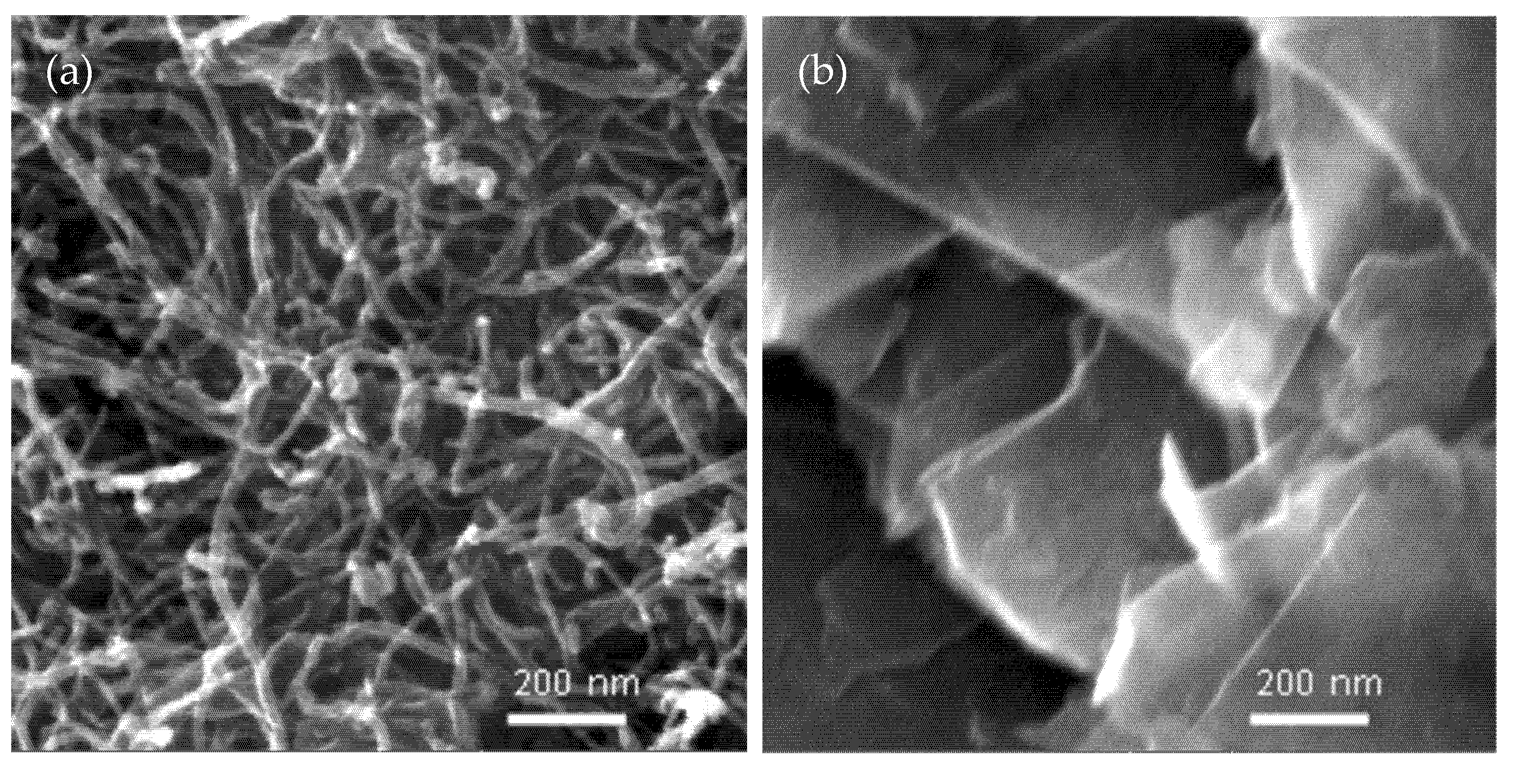 Nanomaterials 11 02080 g001
