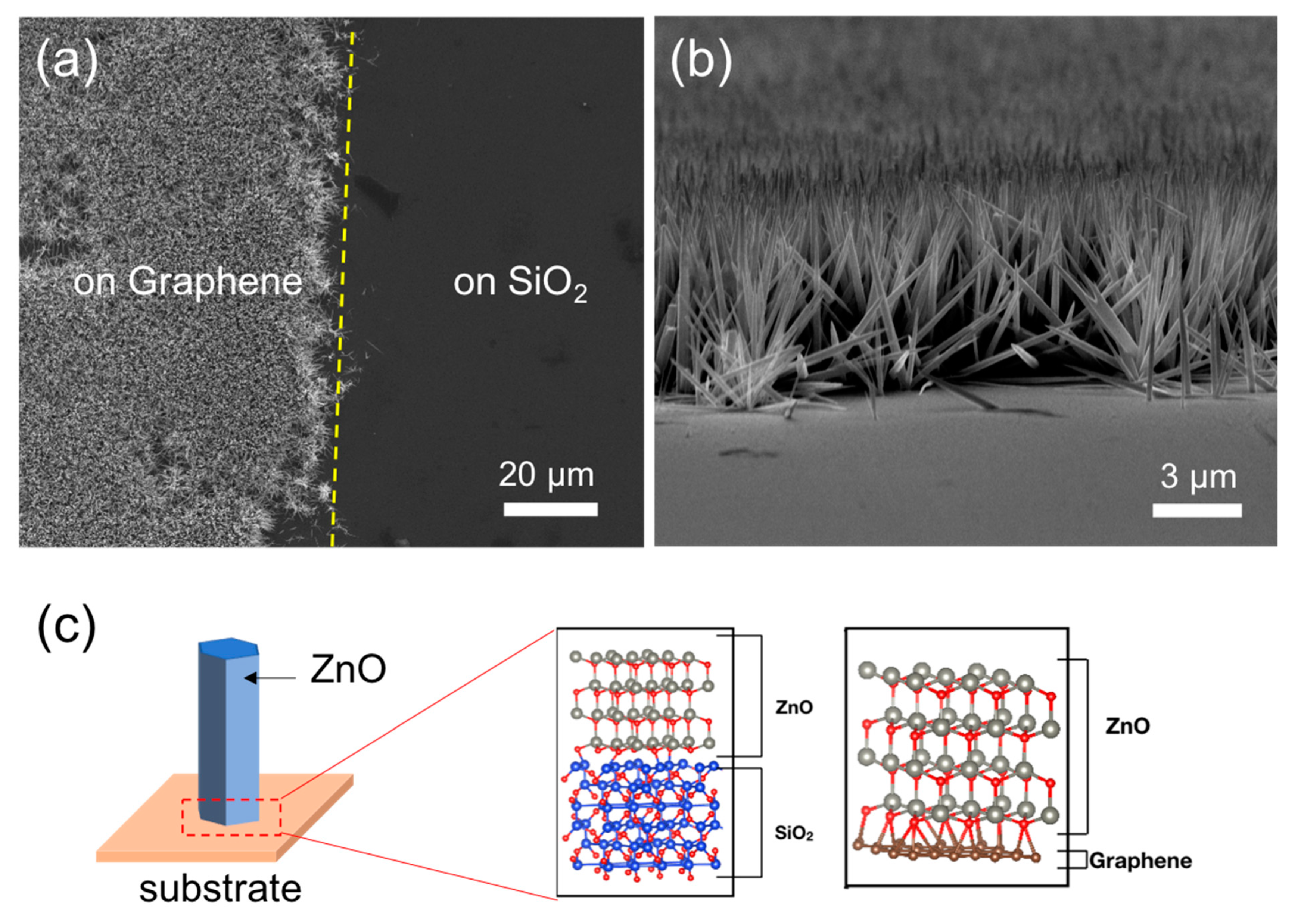 Nanomaterials 11 02093 g001 Nanomaterials 11 02093 g001