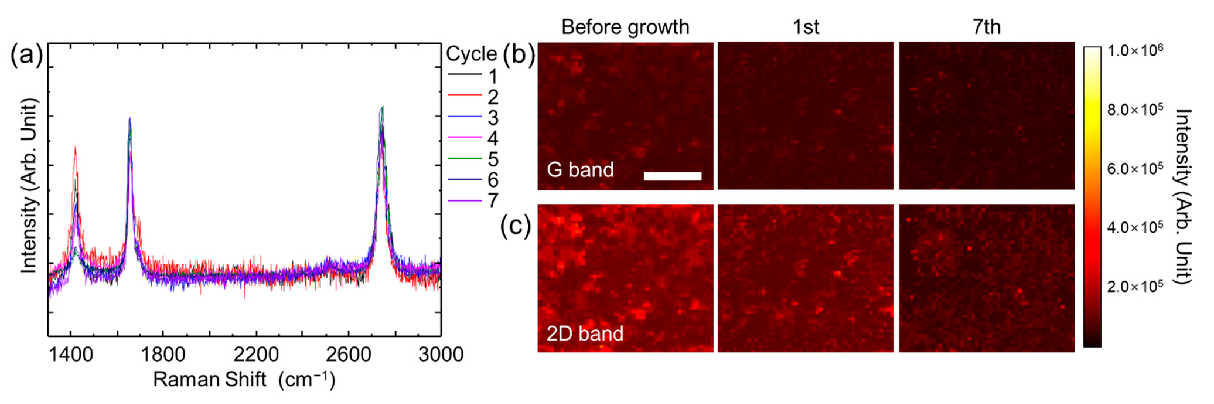 Nanomaterials 11 02093 g006 Nanomaterials 11 02093 g006