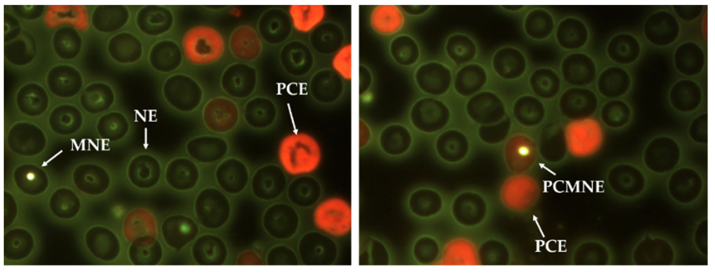 Nanomaterials 11 02096 g002 Nanomaterials 11 02096 g002