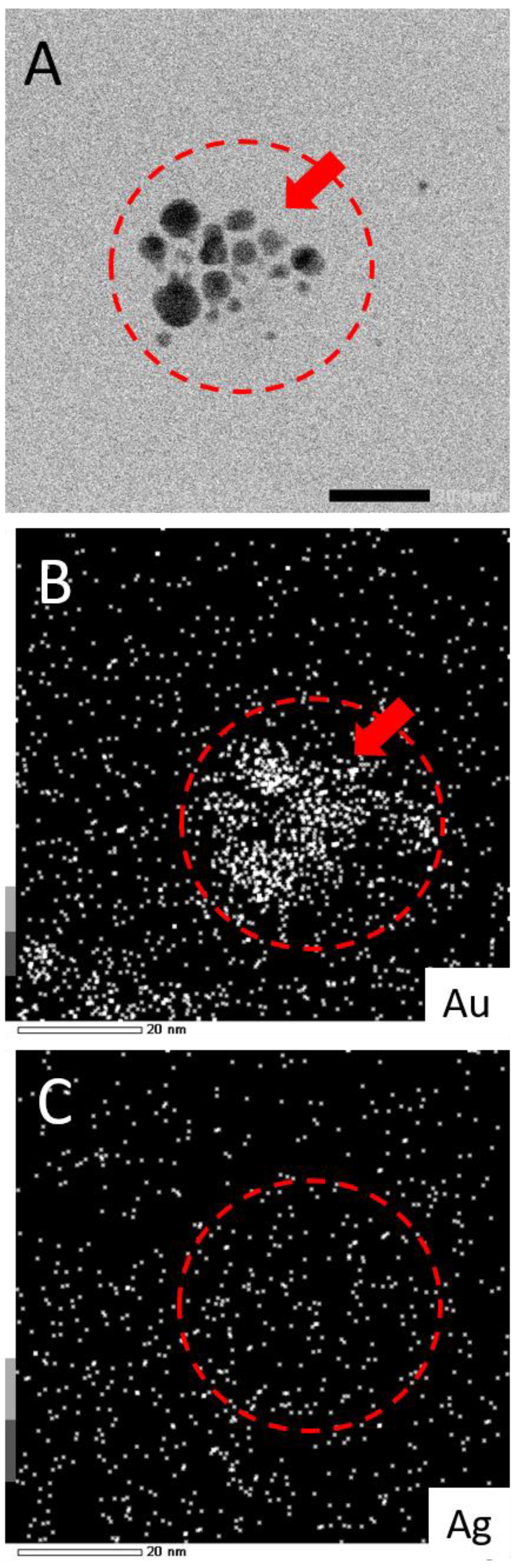 Nanomaterials 11 02103 g007