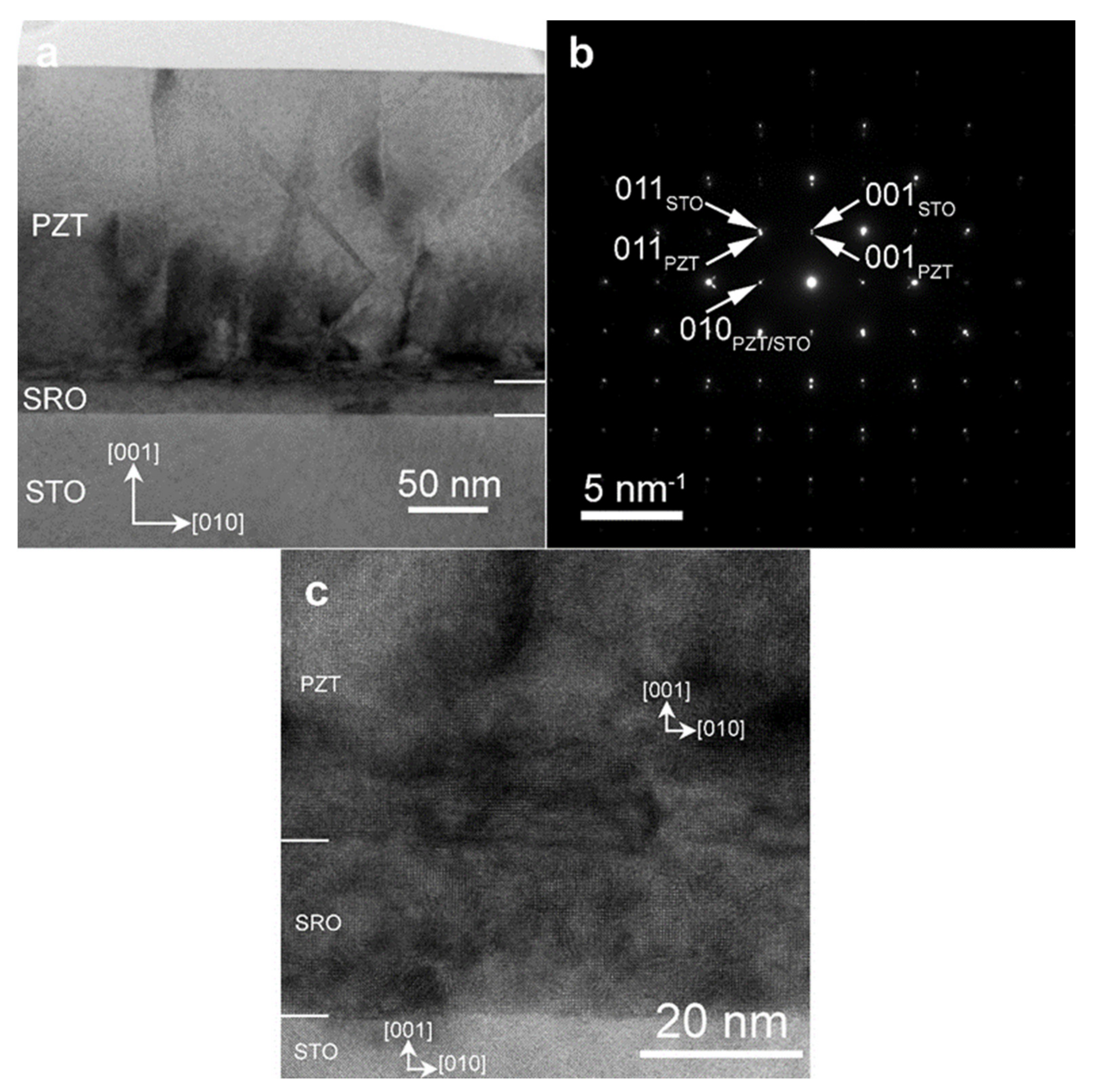 Nanomaterials 11 02124 g001