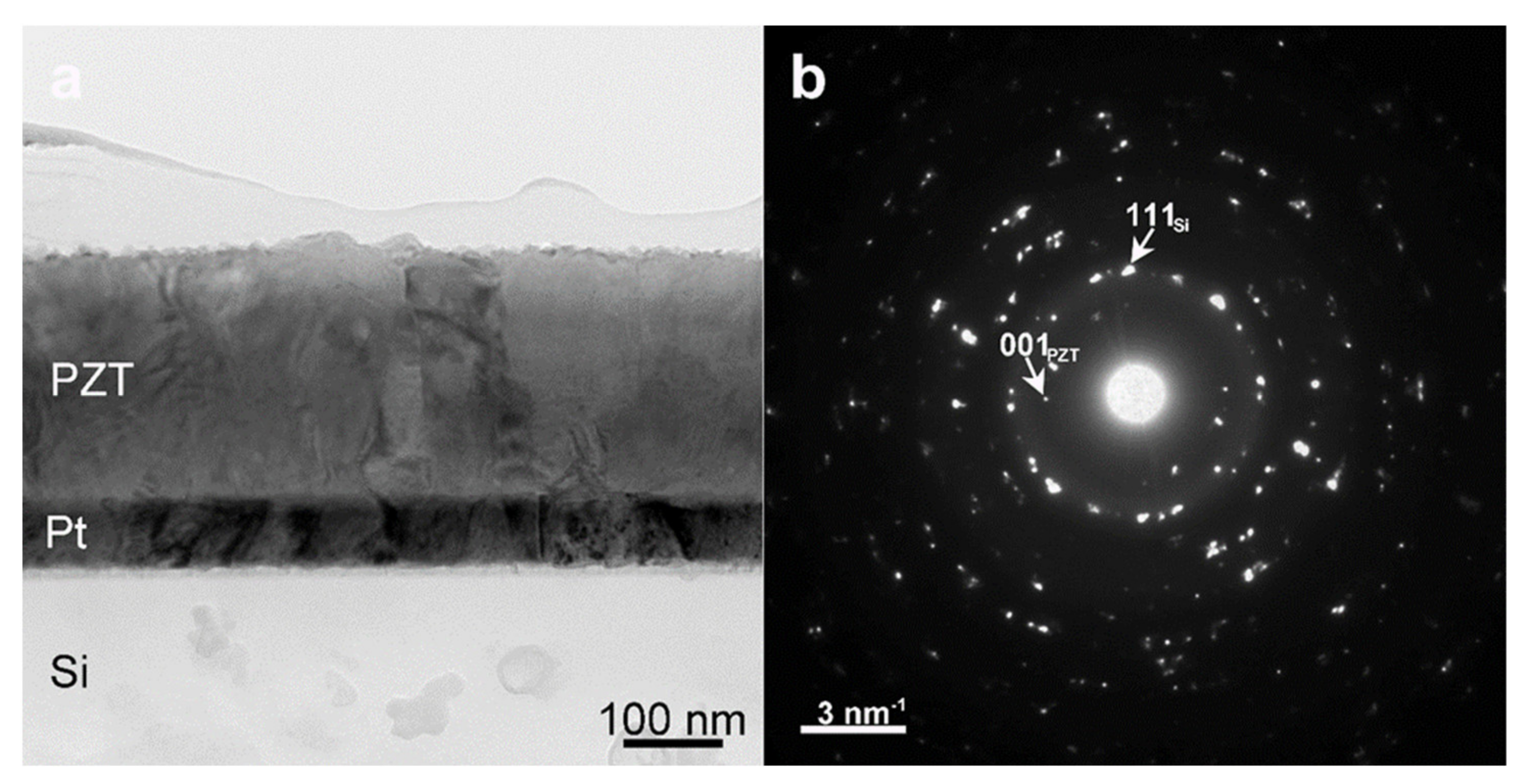 Nanomaterials 11 02124 g002