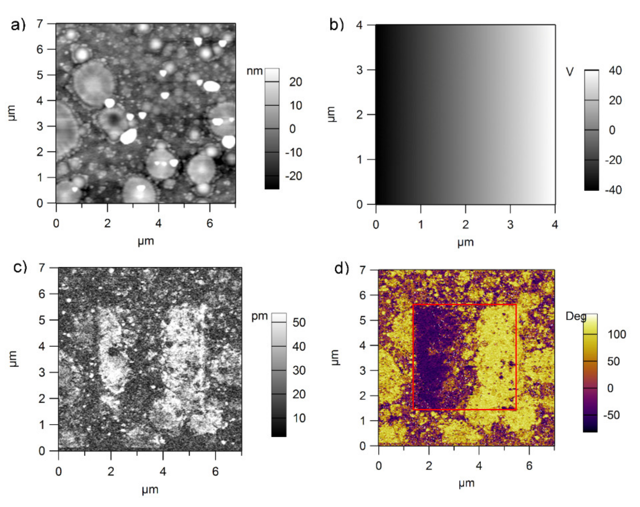 Nanomaterials 11 02124 g007