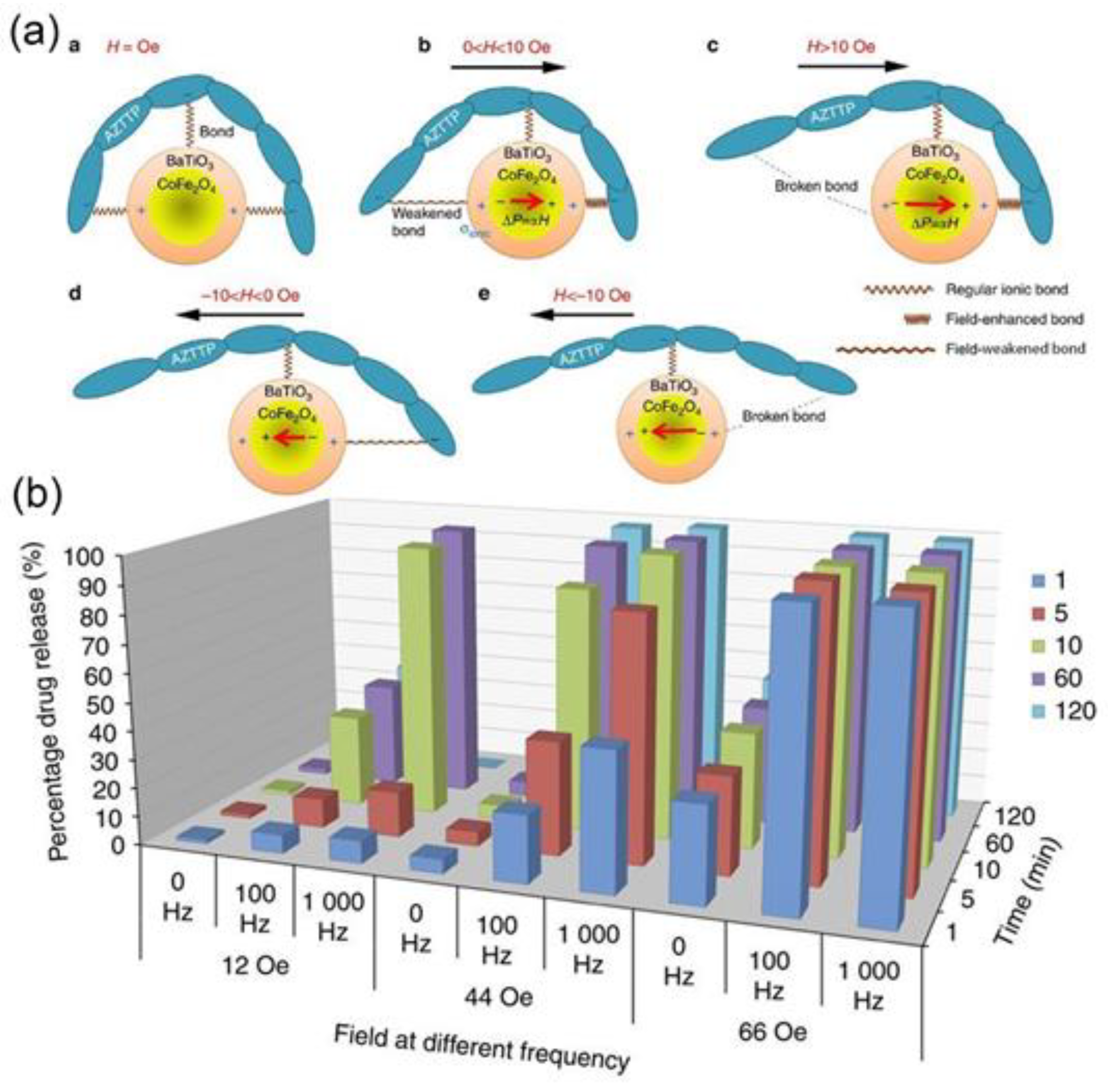 Nanomaterials 11 02129 g007