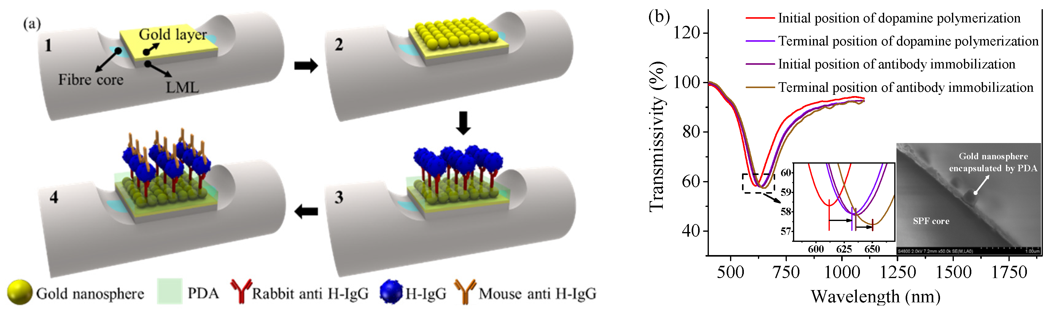 Nanomaterials 11 02137 g004 Nanomaterials 11 02137 g004