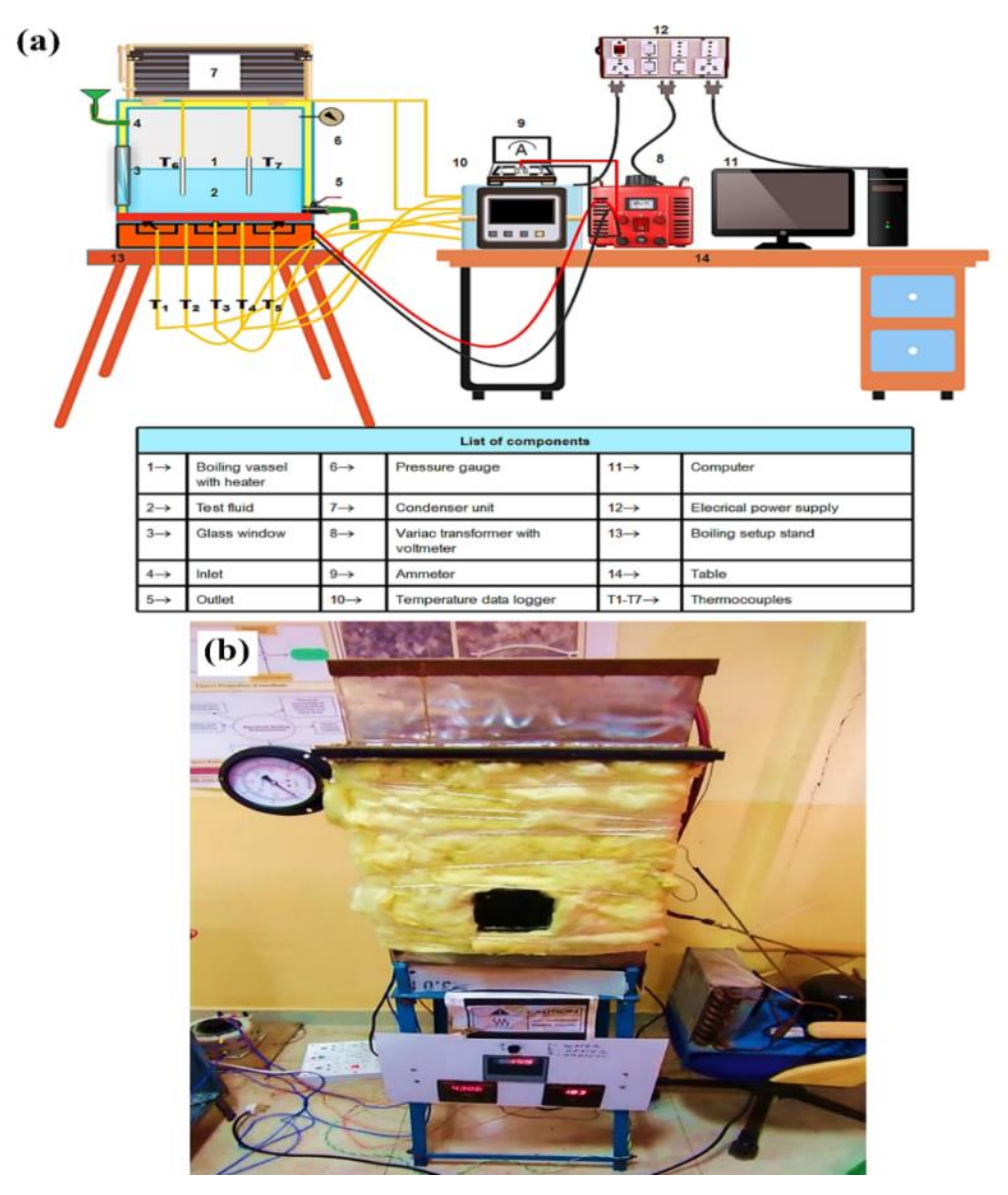 Nanomaterials 11 02138 g001