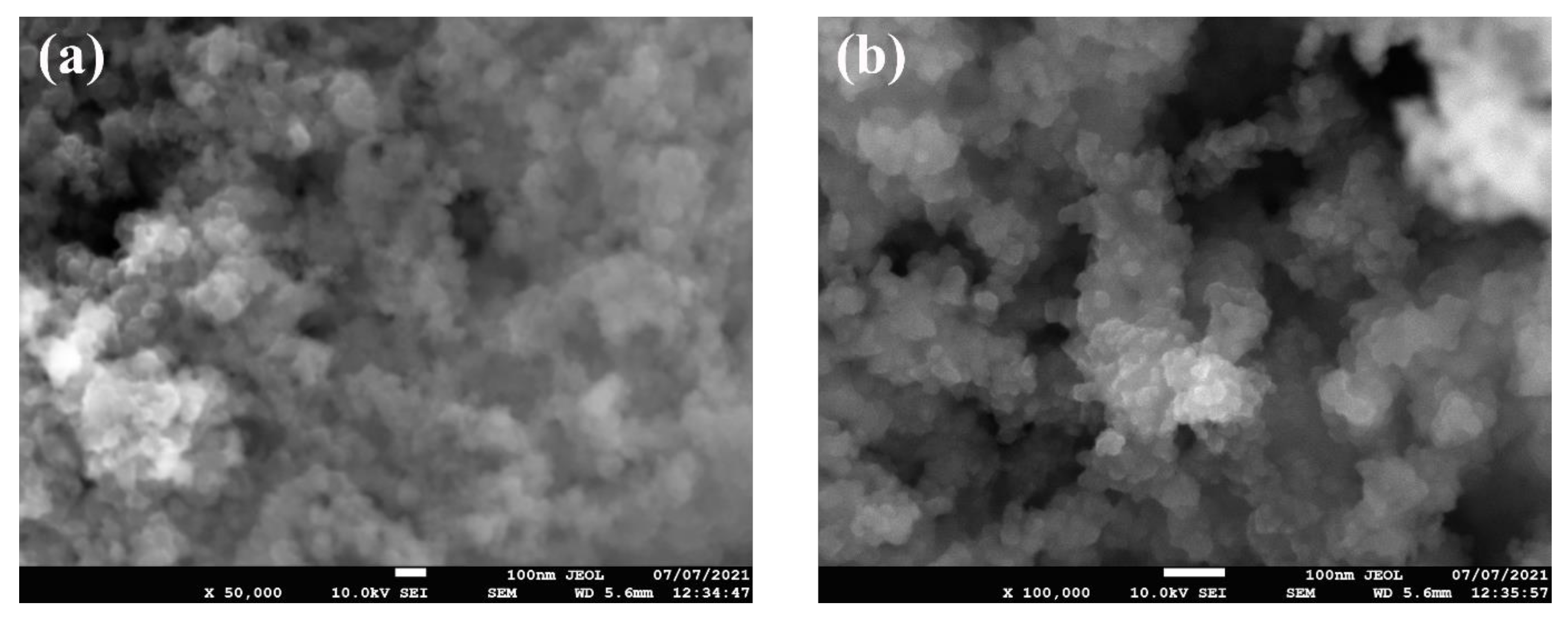 Nanomaterials 11 02138 g002