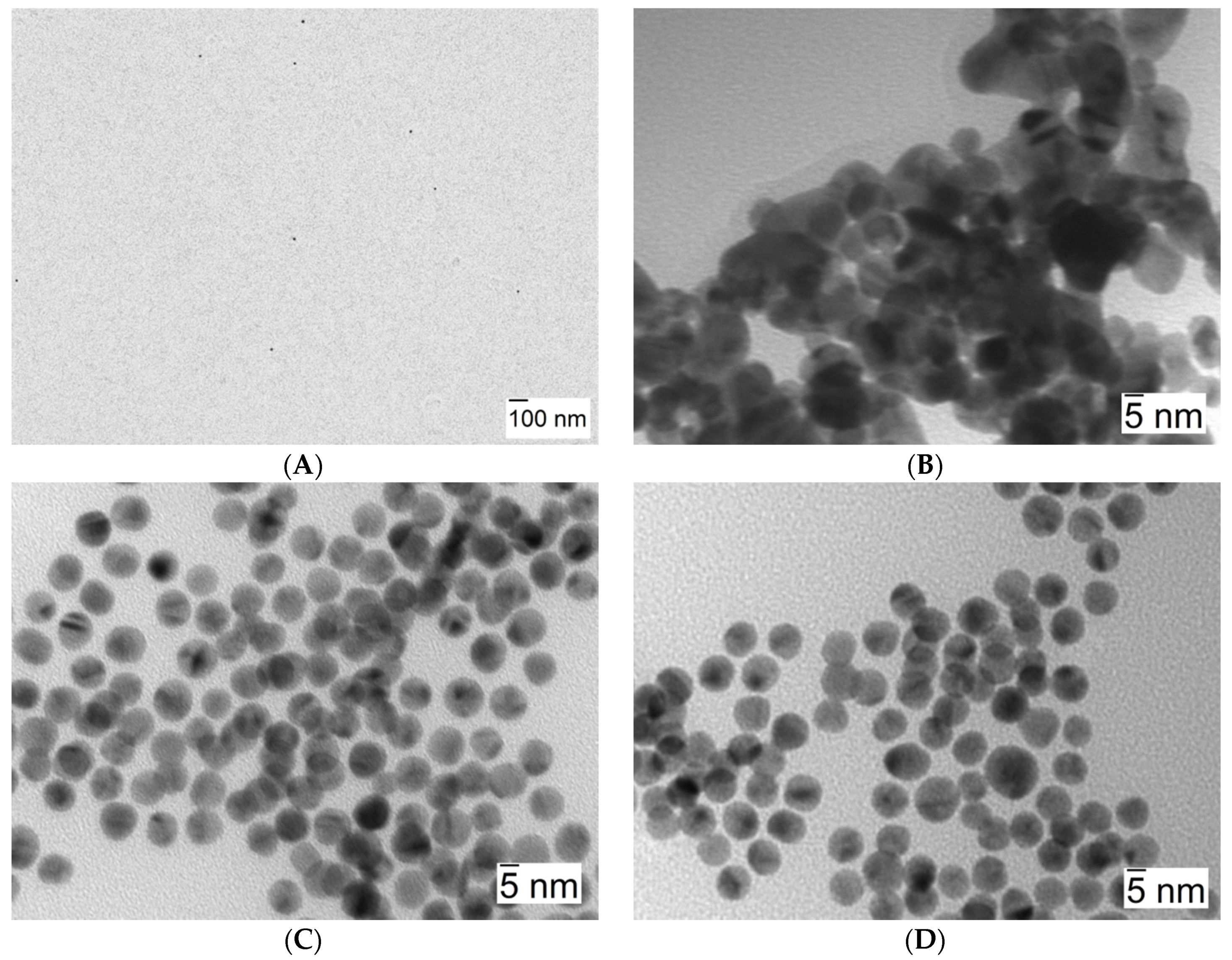 Nanomaterials 11 02139 g006
