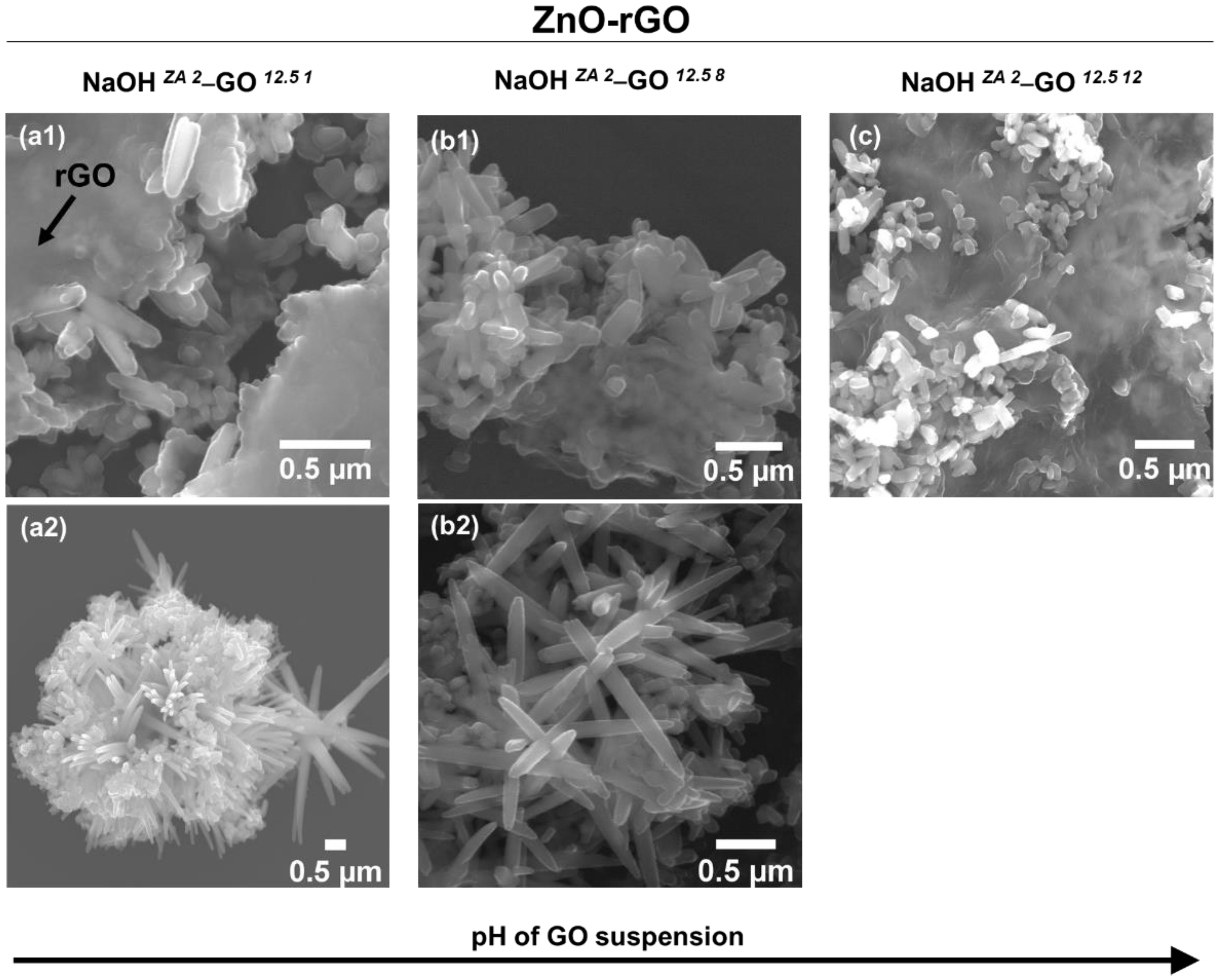 Nanomaterials 11 02149 g009