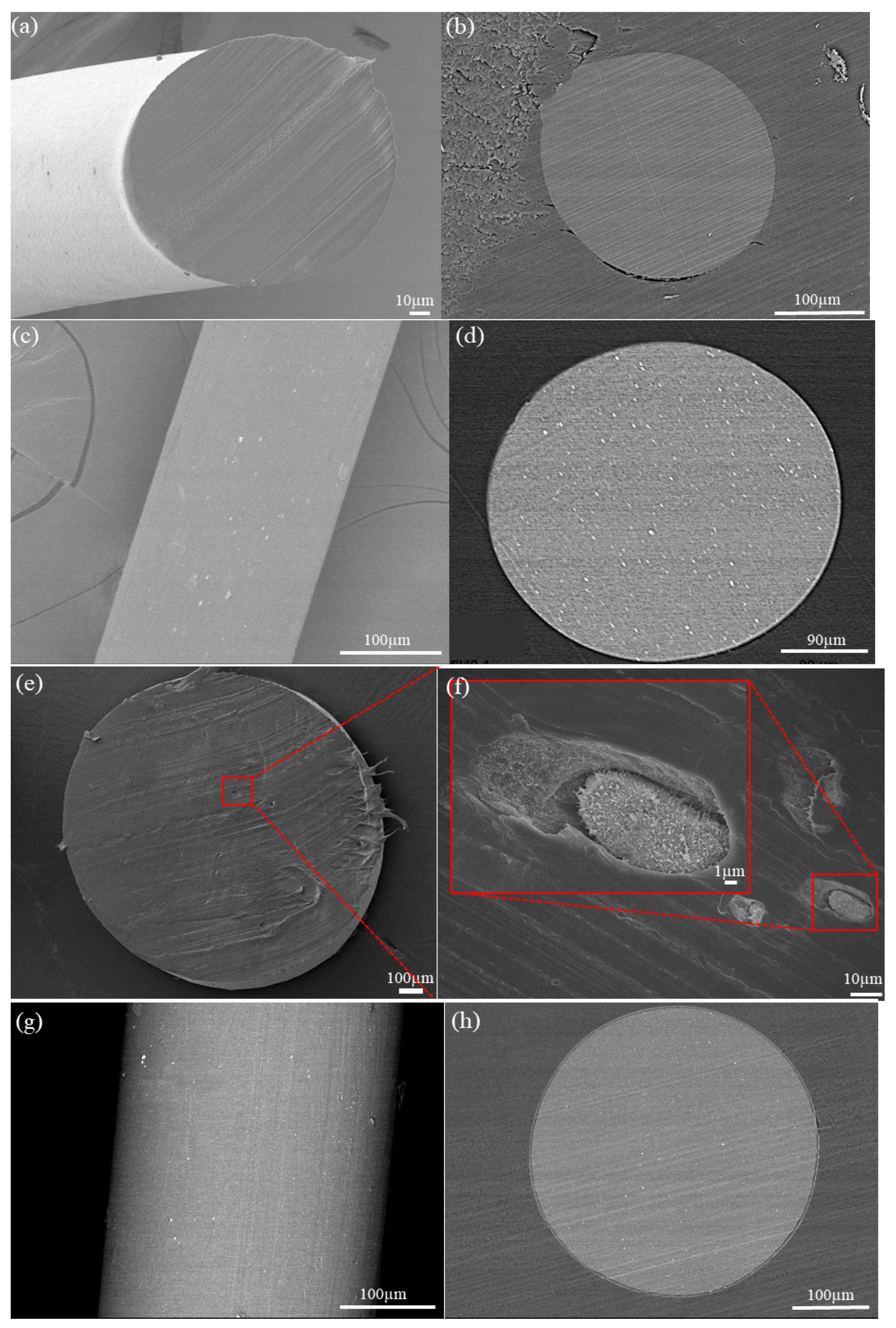Nanomaterials 11 02153 g002