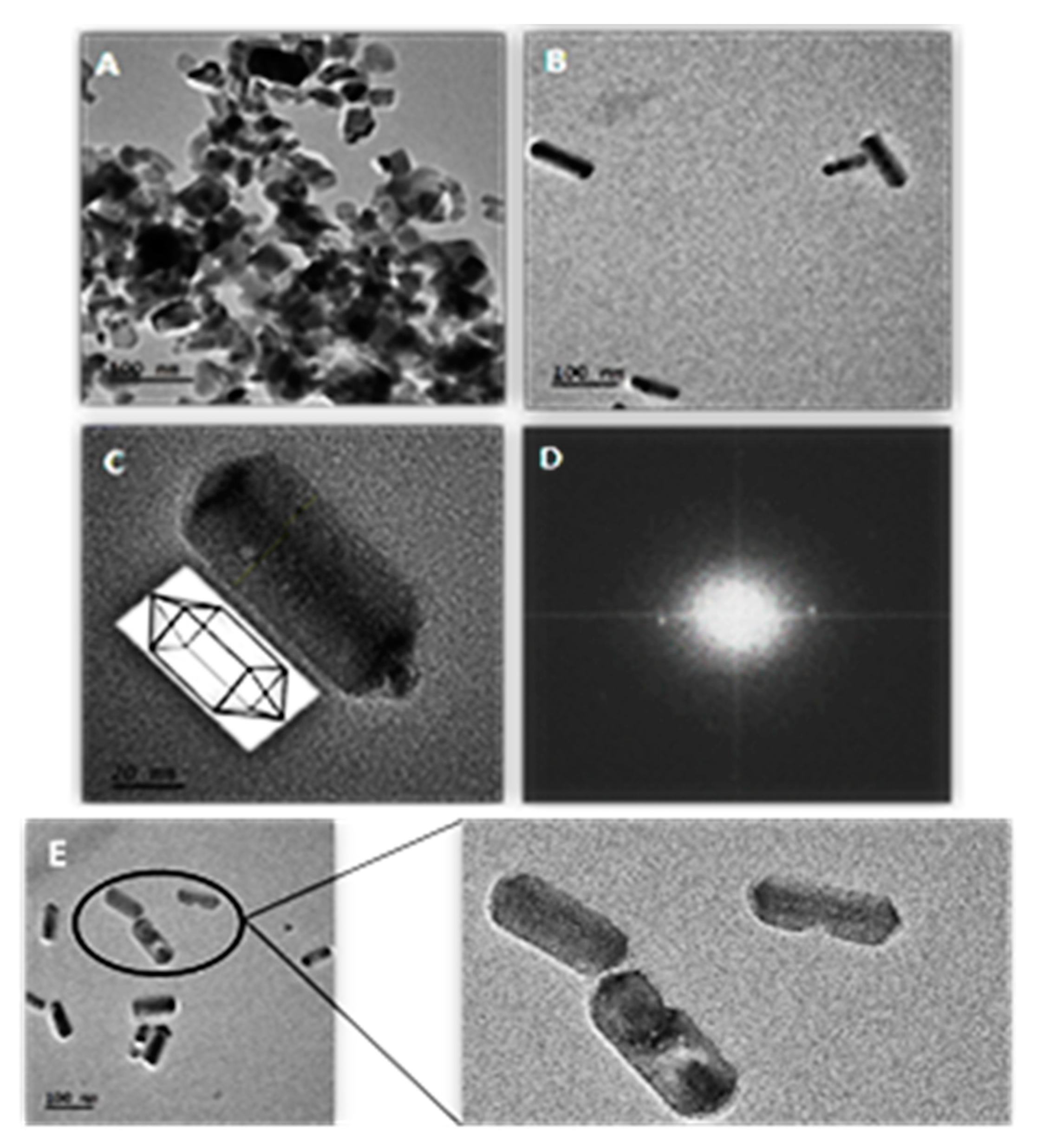 Nanomaterials 11 02157 g001