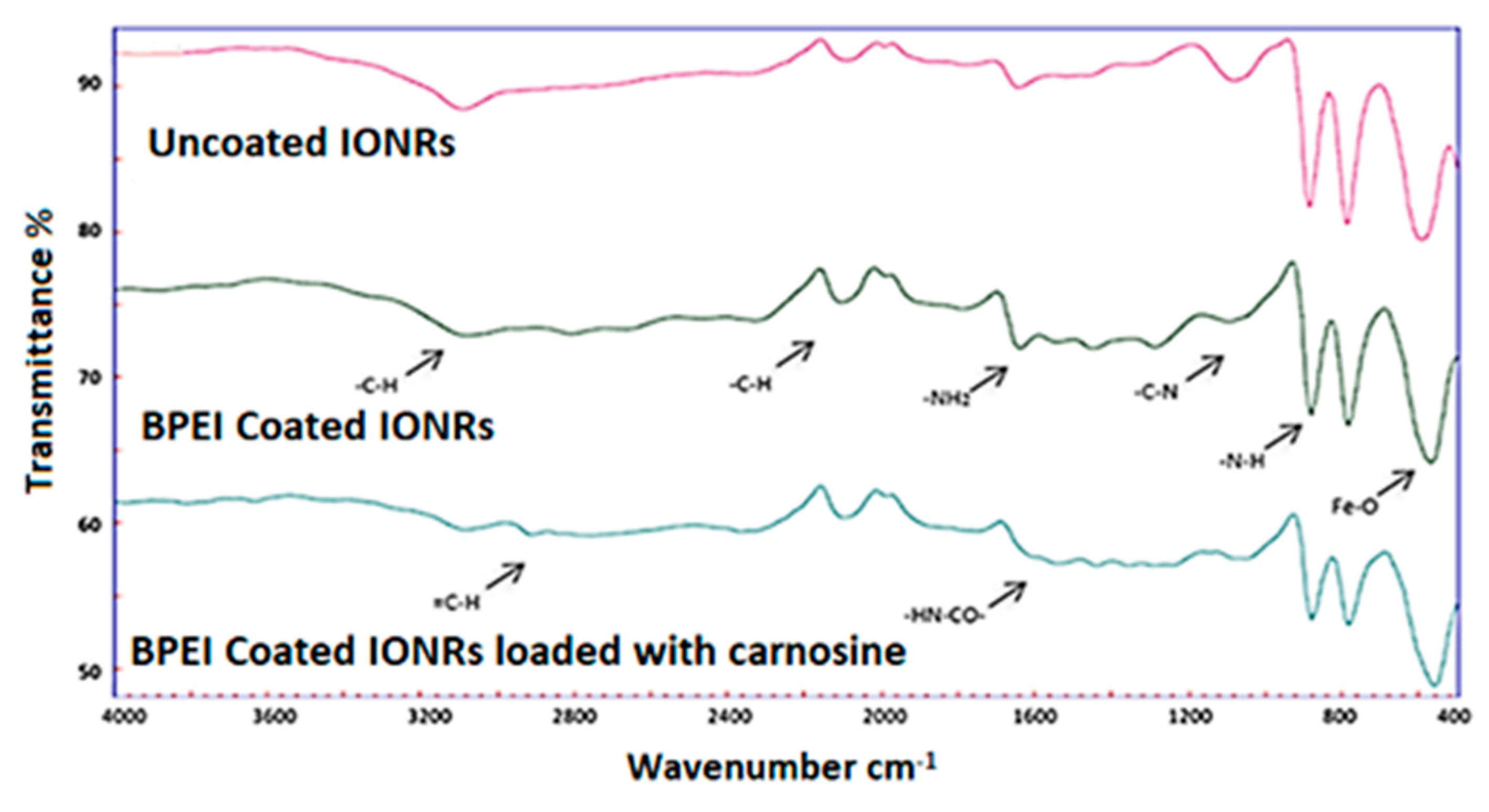 Nanomaterials 11 02157 g003