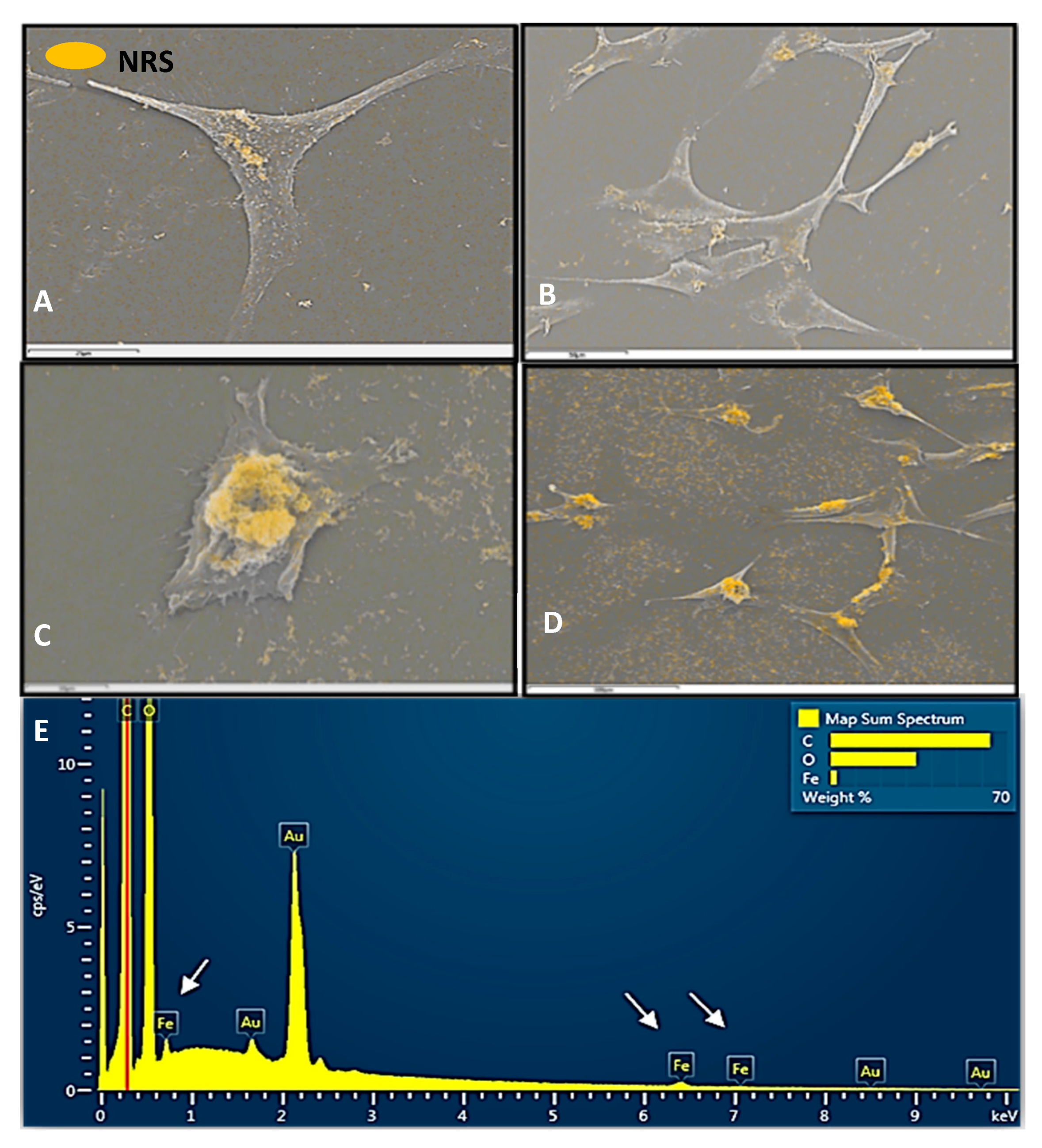 Nanomaterials 11 02157 g013