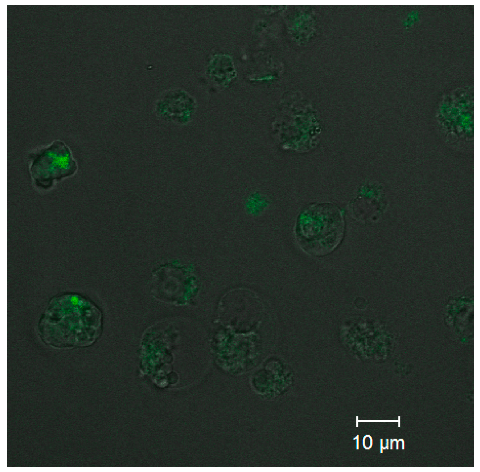 Nanomaterials 11 02160 g006 Nanomaterials 11 02160 g006