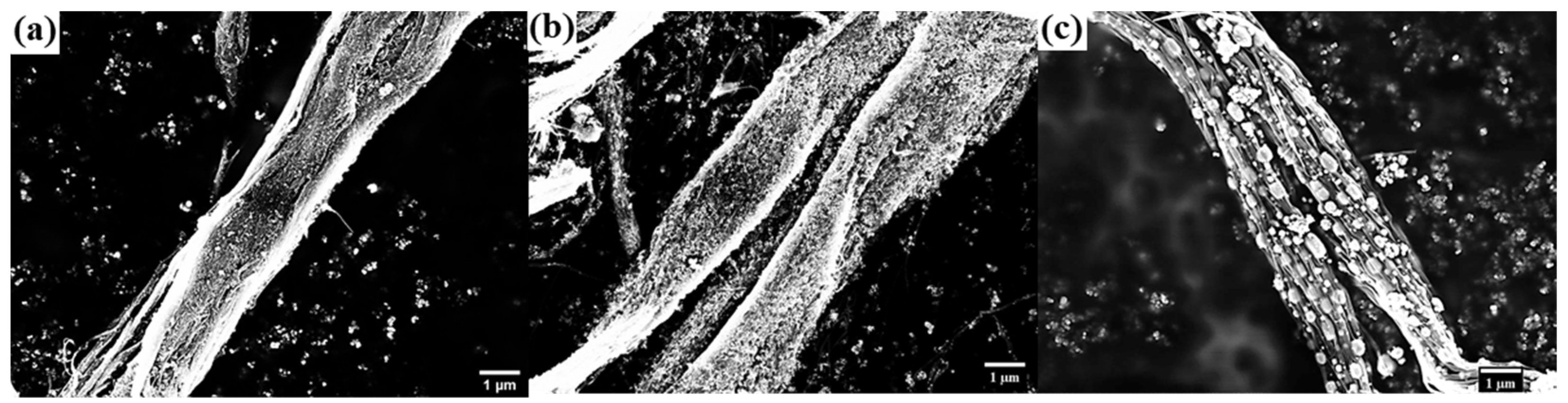 Nanomaterials 11 02168 g003