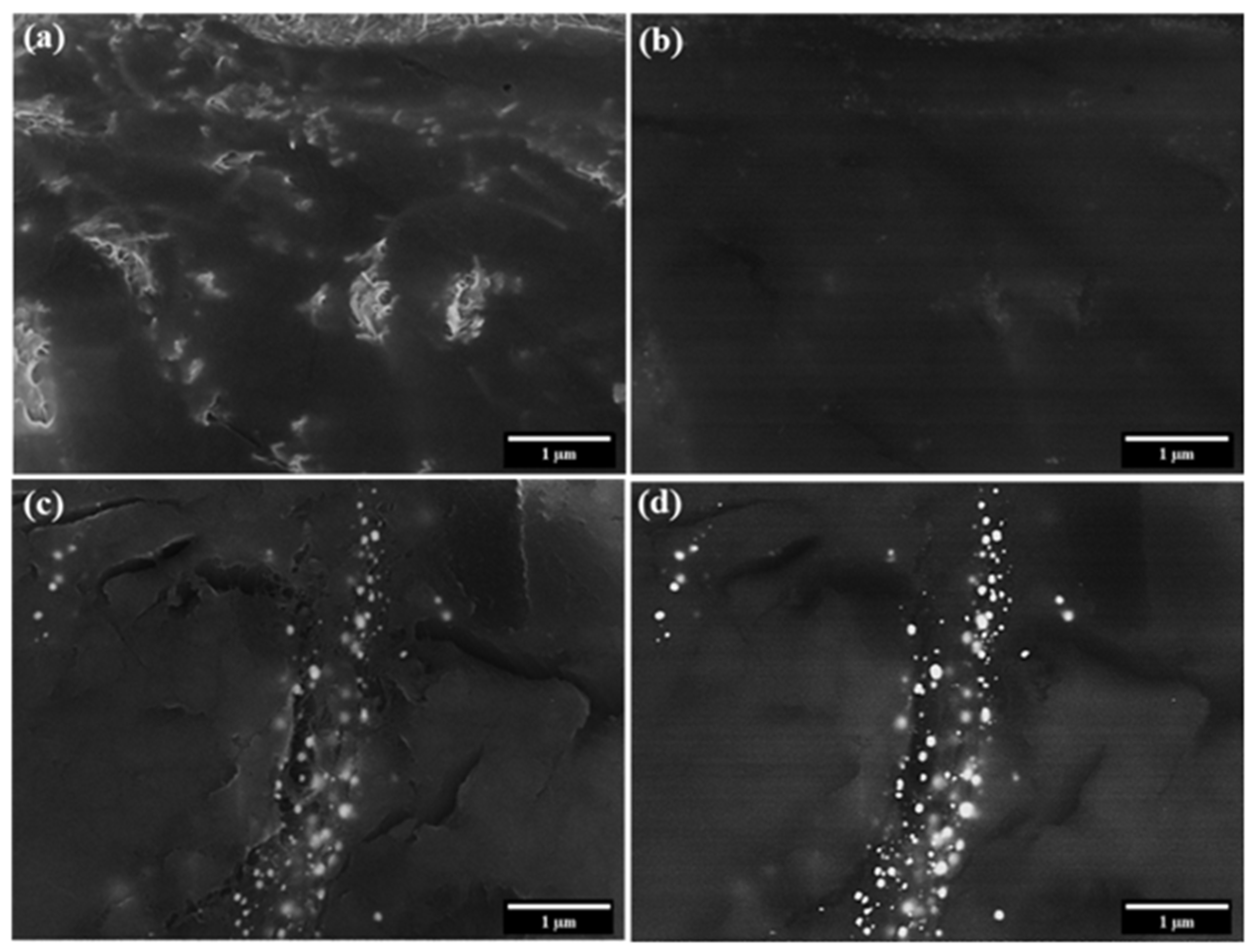 Nanomaterials 11 02168 g013