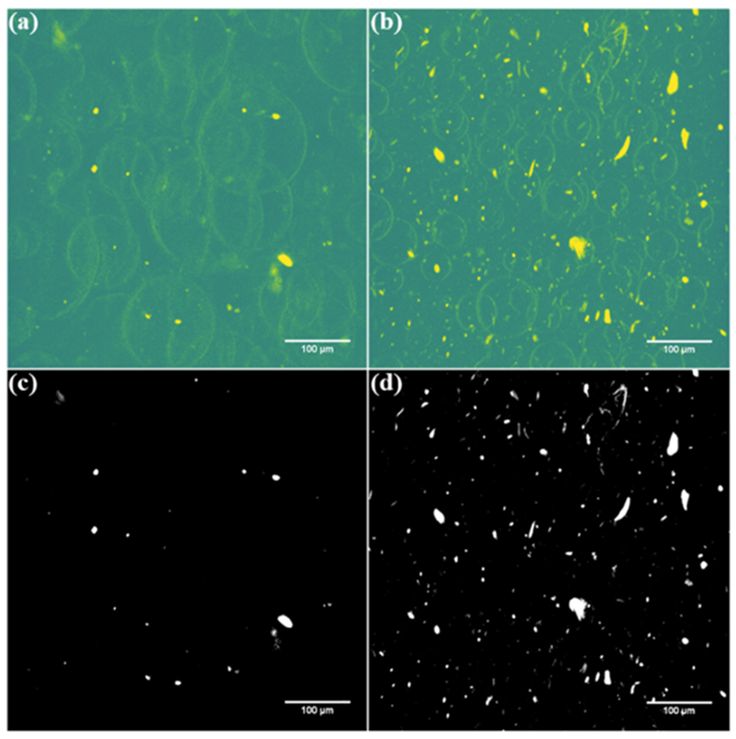 Nanomaterials 11 02168 g014