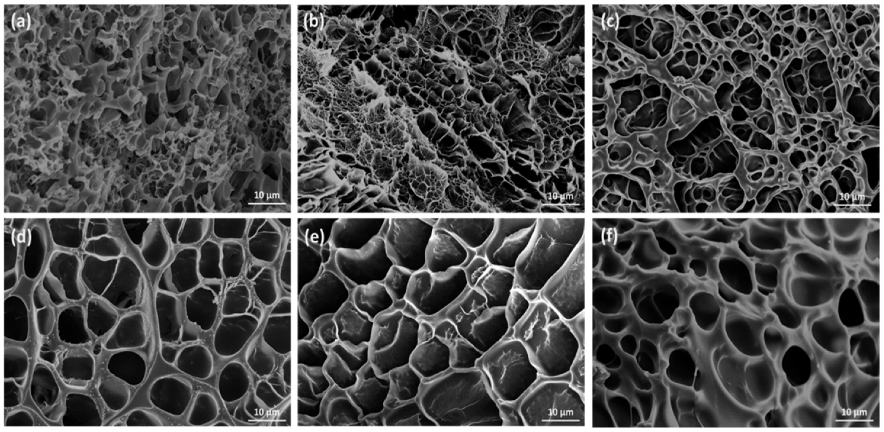 Nanomaterials 11 02169 g004