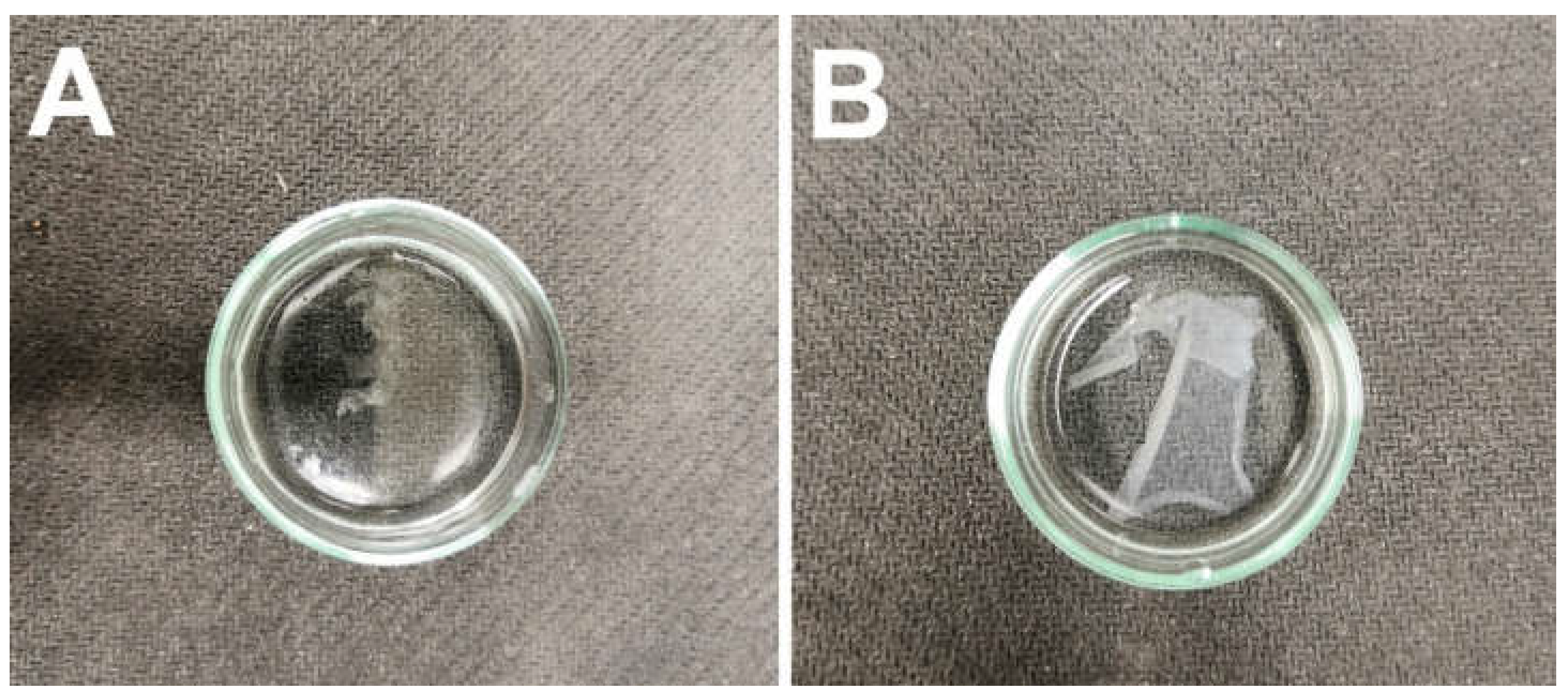 Nanomaterials 11 02178 g003