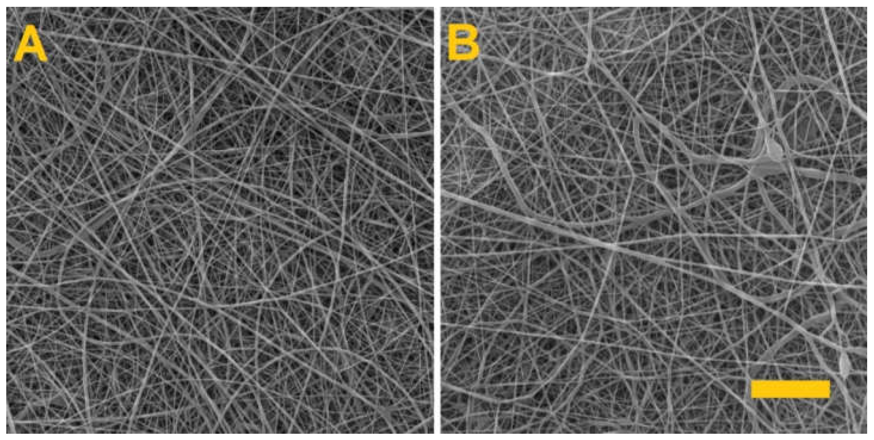 Nanomaterials 11 02178 g004