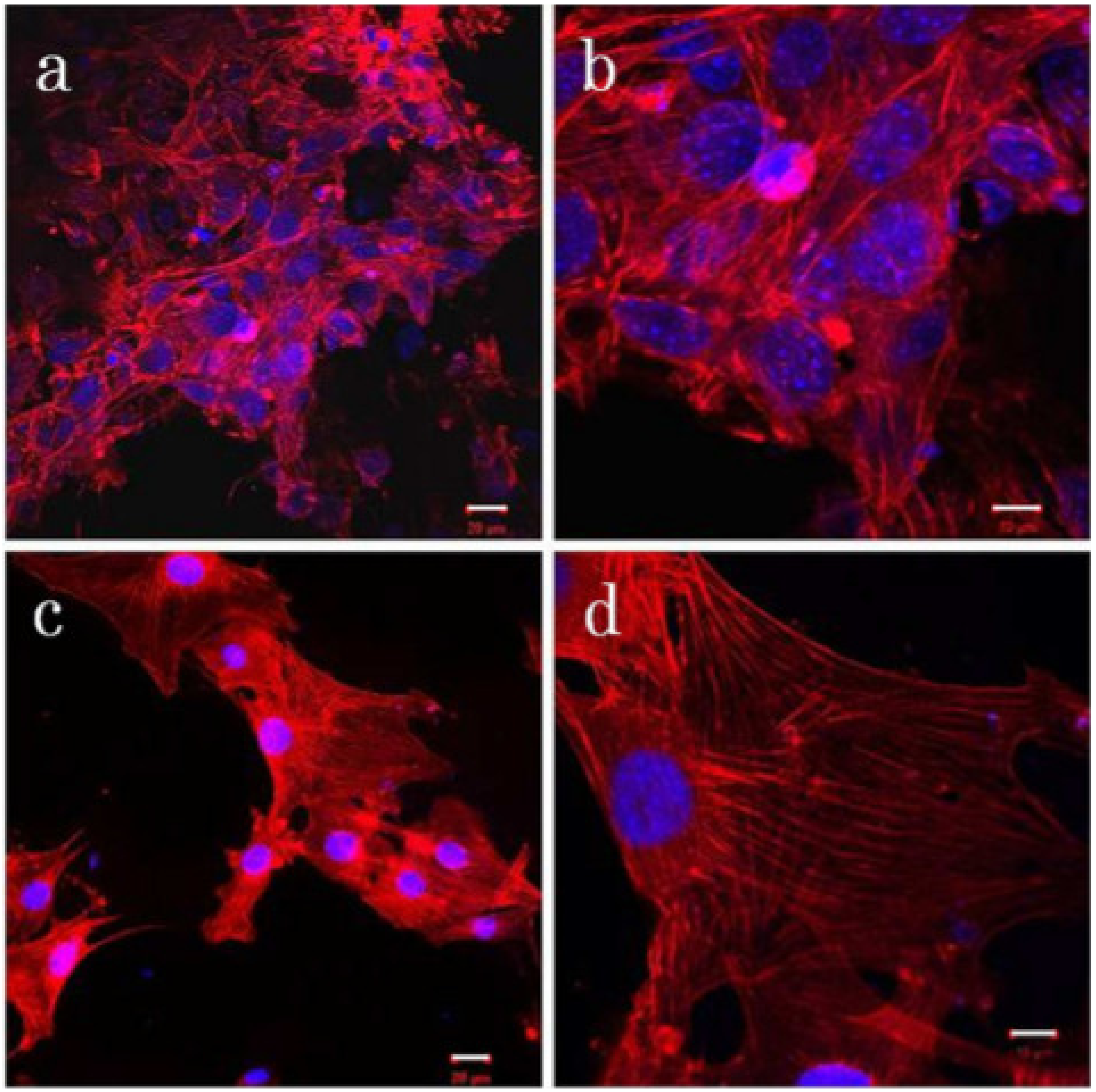 Nanomaterials 11 02186 g005 Nanomaterials 11 02186 g005