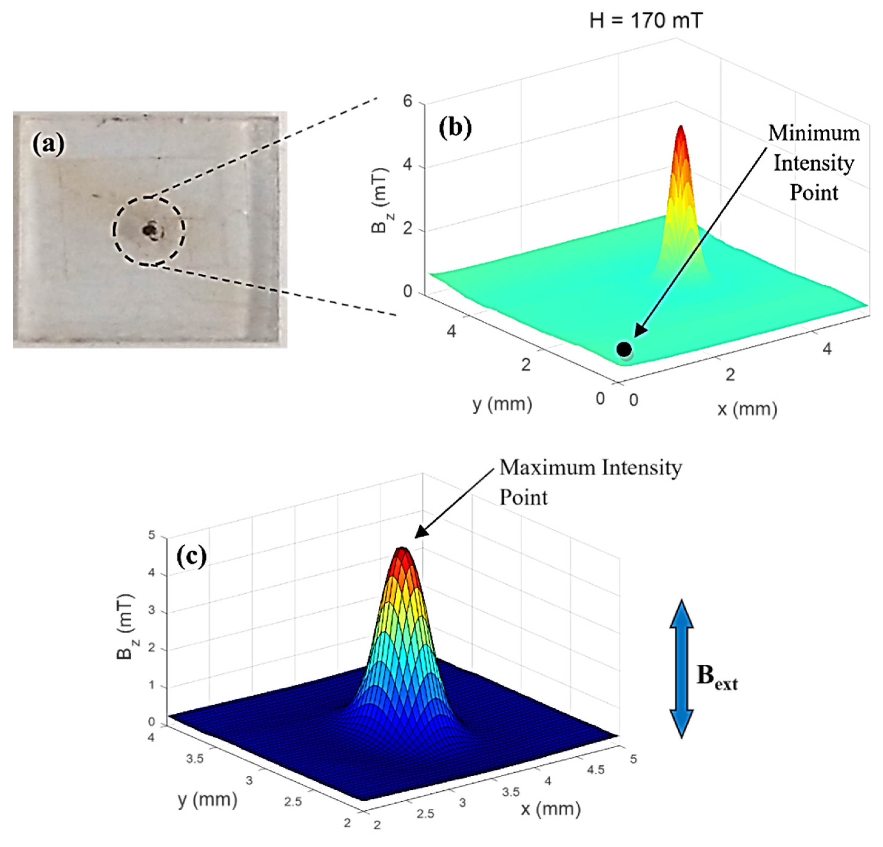 Nanomaterials 11 02197 g011
