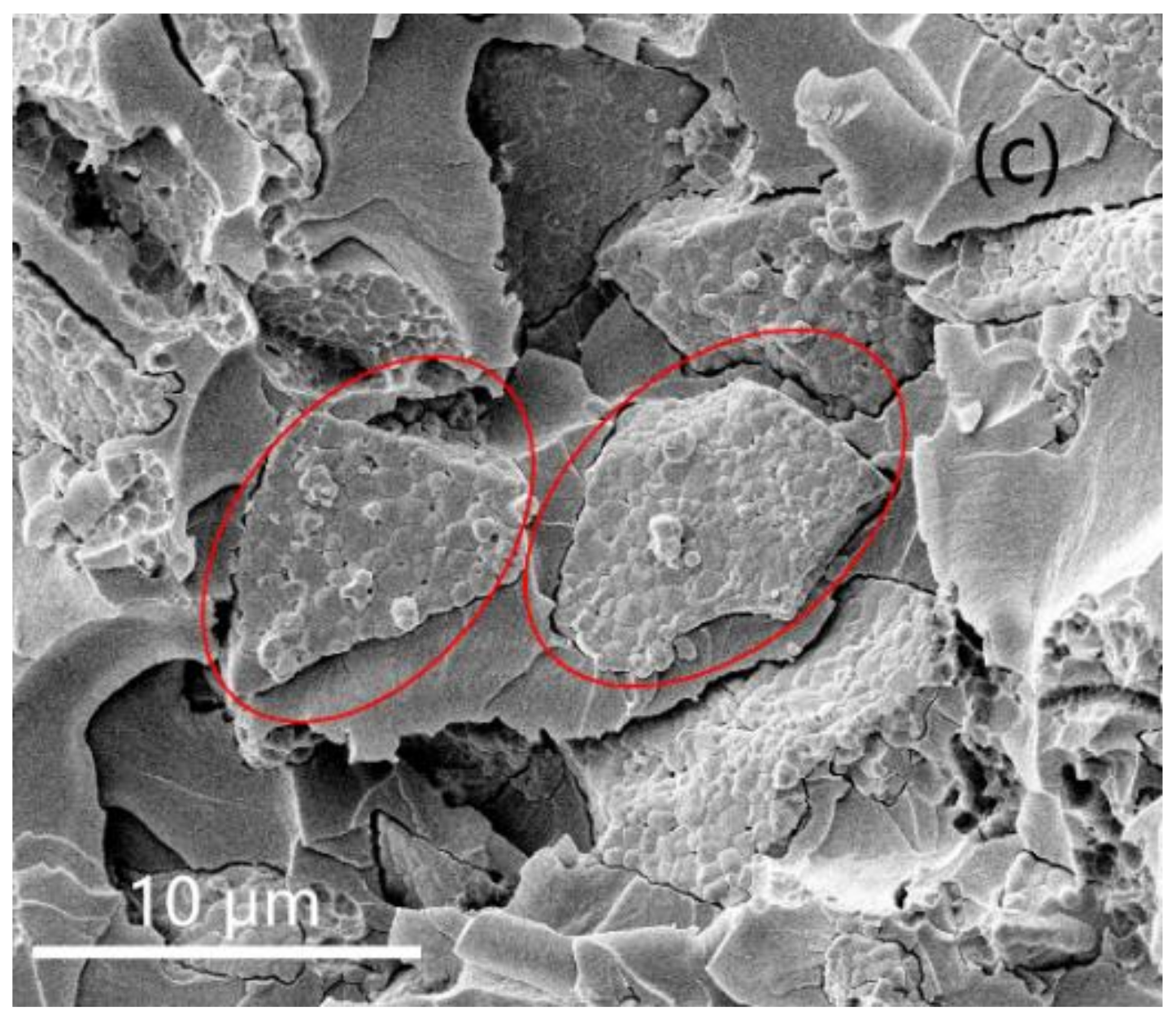 Nanomaterials 11 02200 g006b
