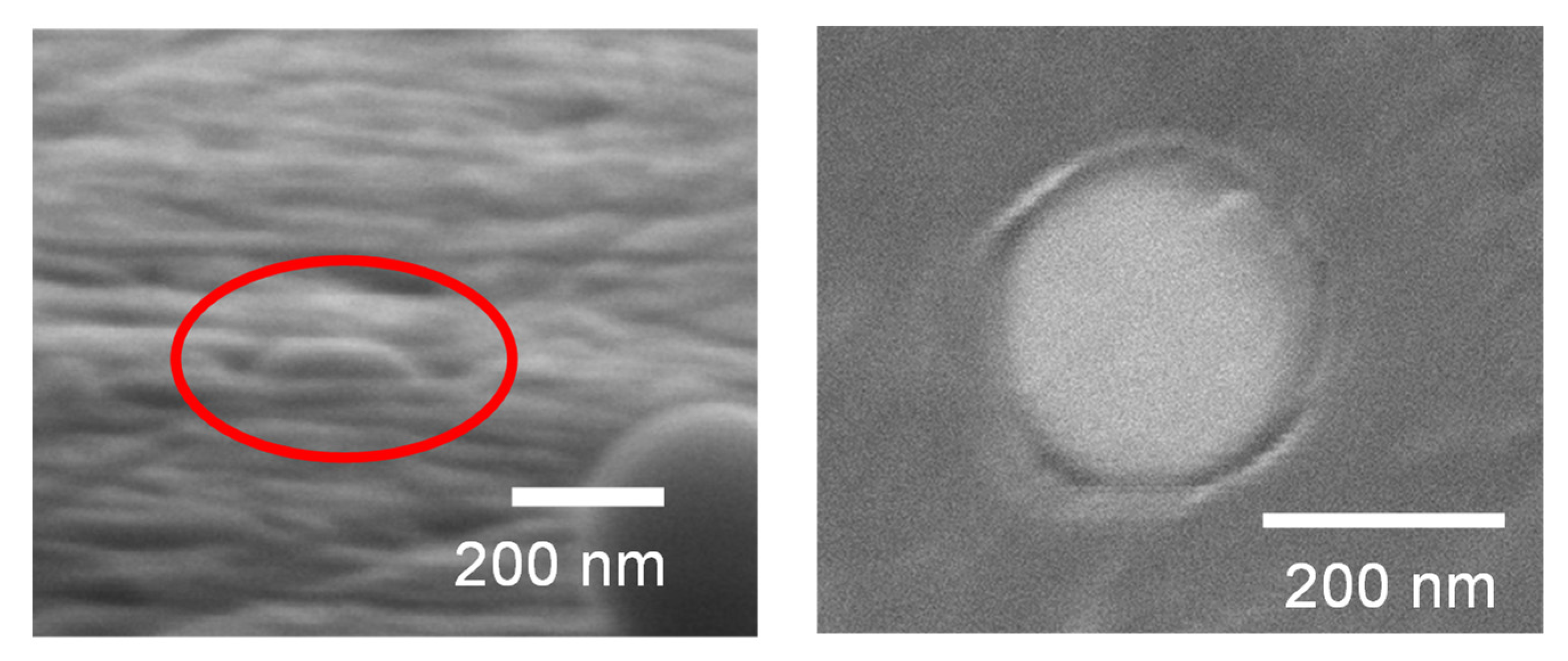 Nanomaterials 11 02201 g008